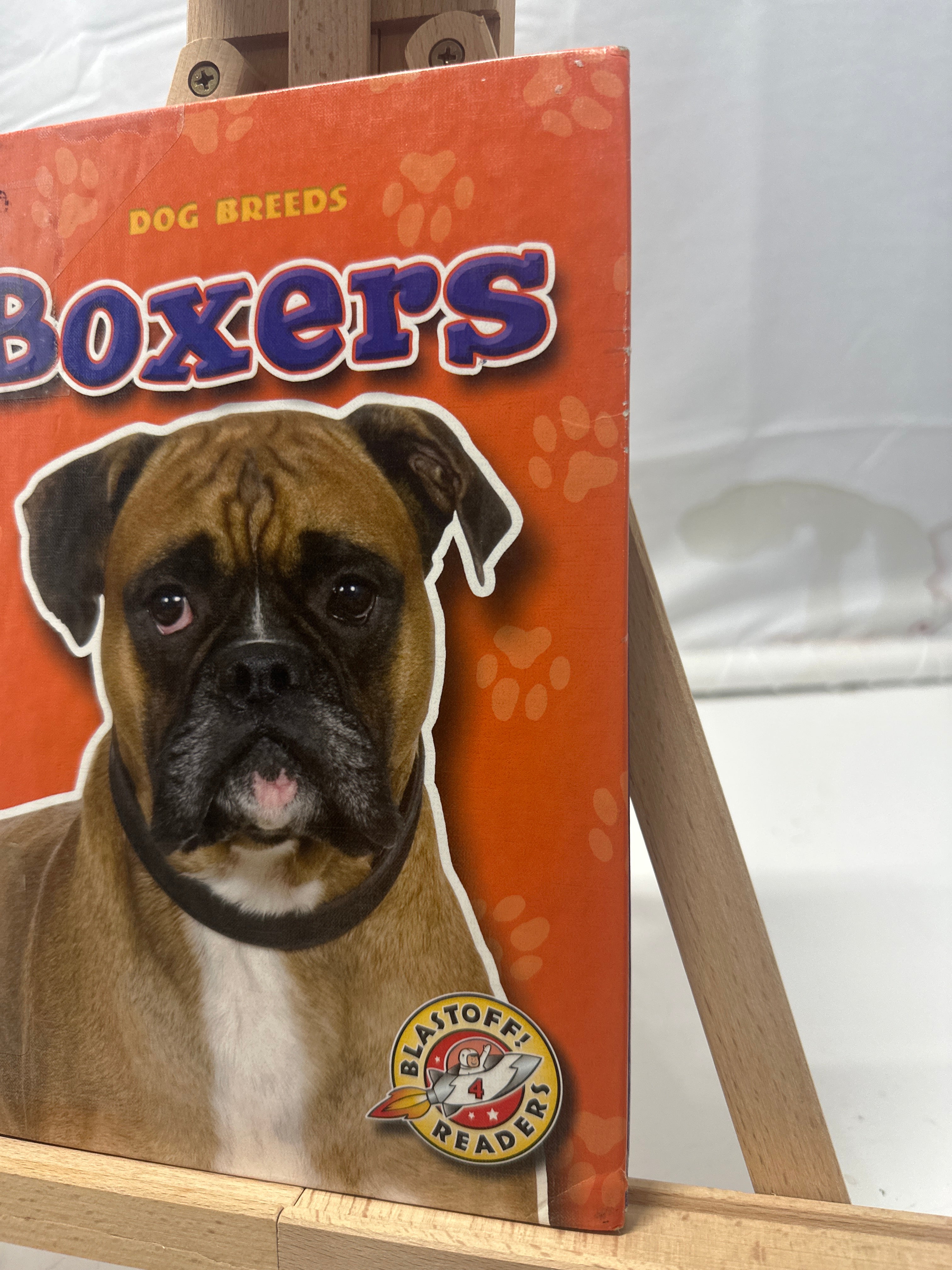 Boxers by Sara Green Hardcover