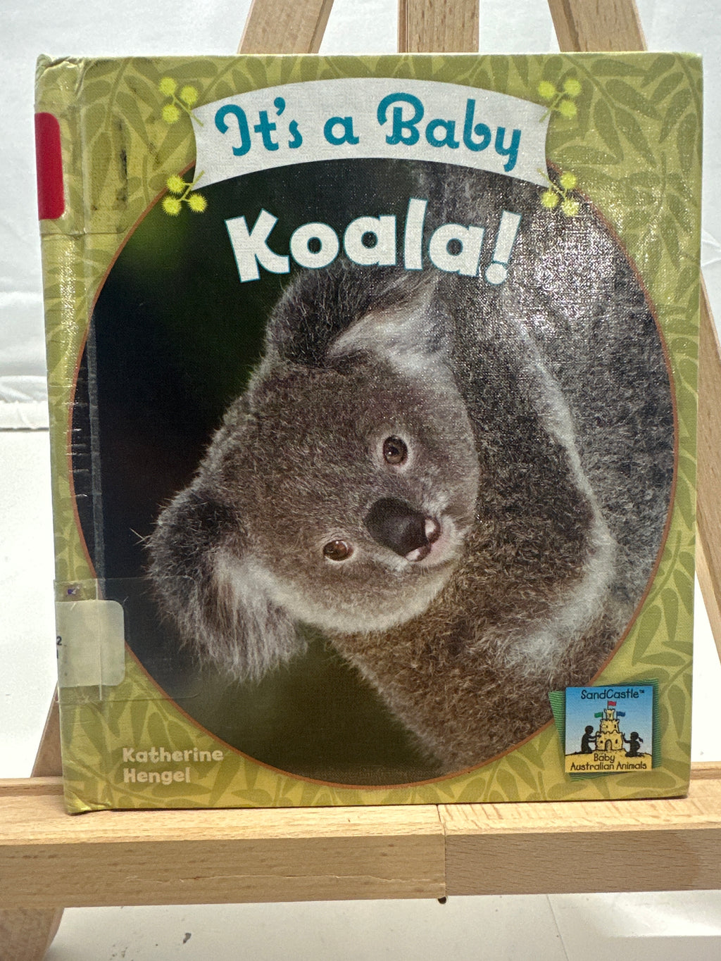 It's a baby koala! by Katherine Hengel Hardcover Children's Book