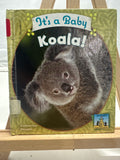 It's a baby koala! by Katherine Hengel Hardcover Children's Book