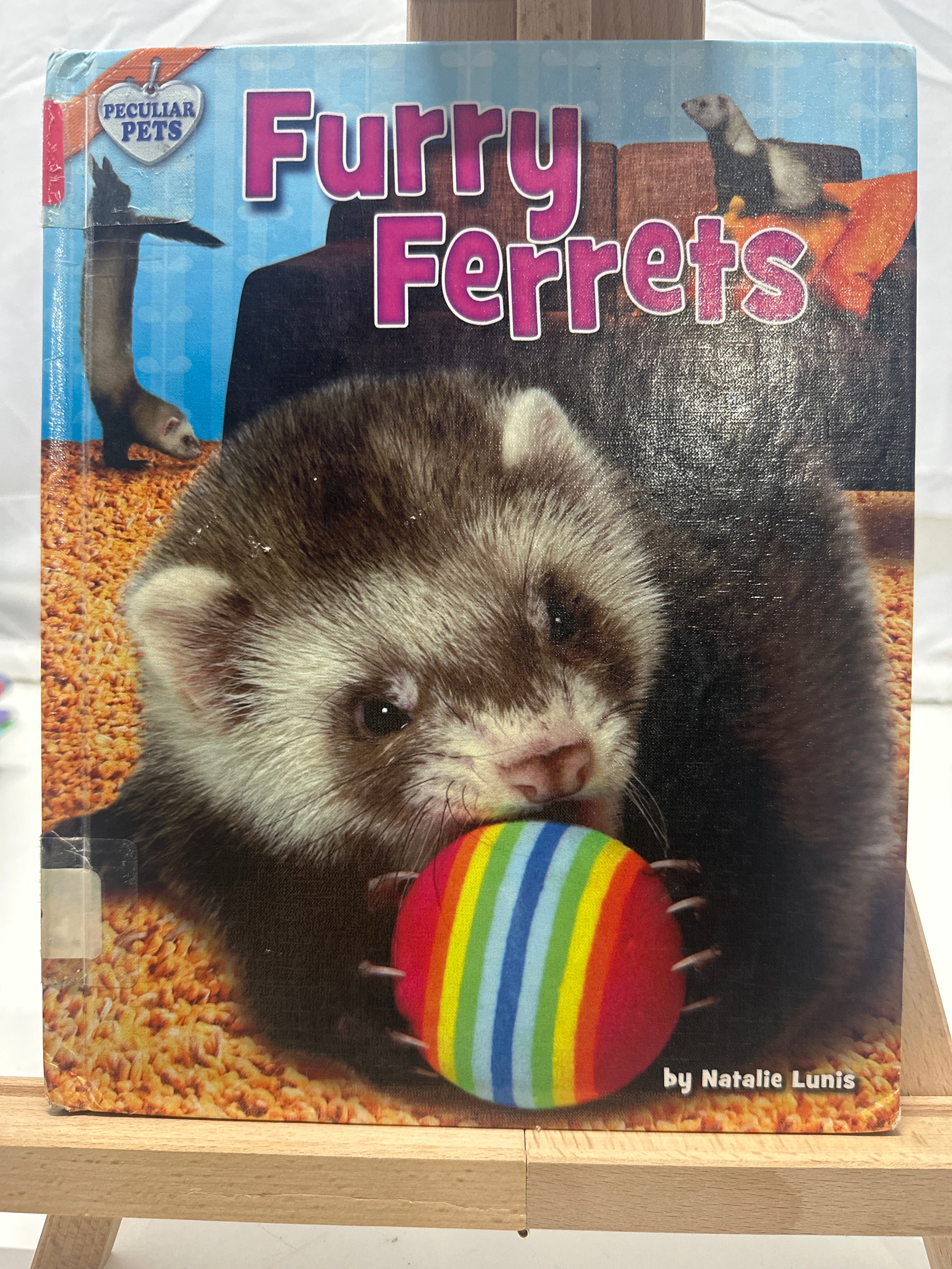 Furry ferrets by Natalie Lunis Hardcover Children's Book