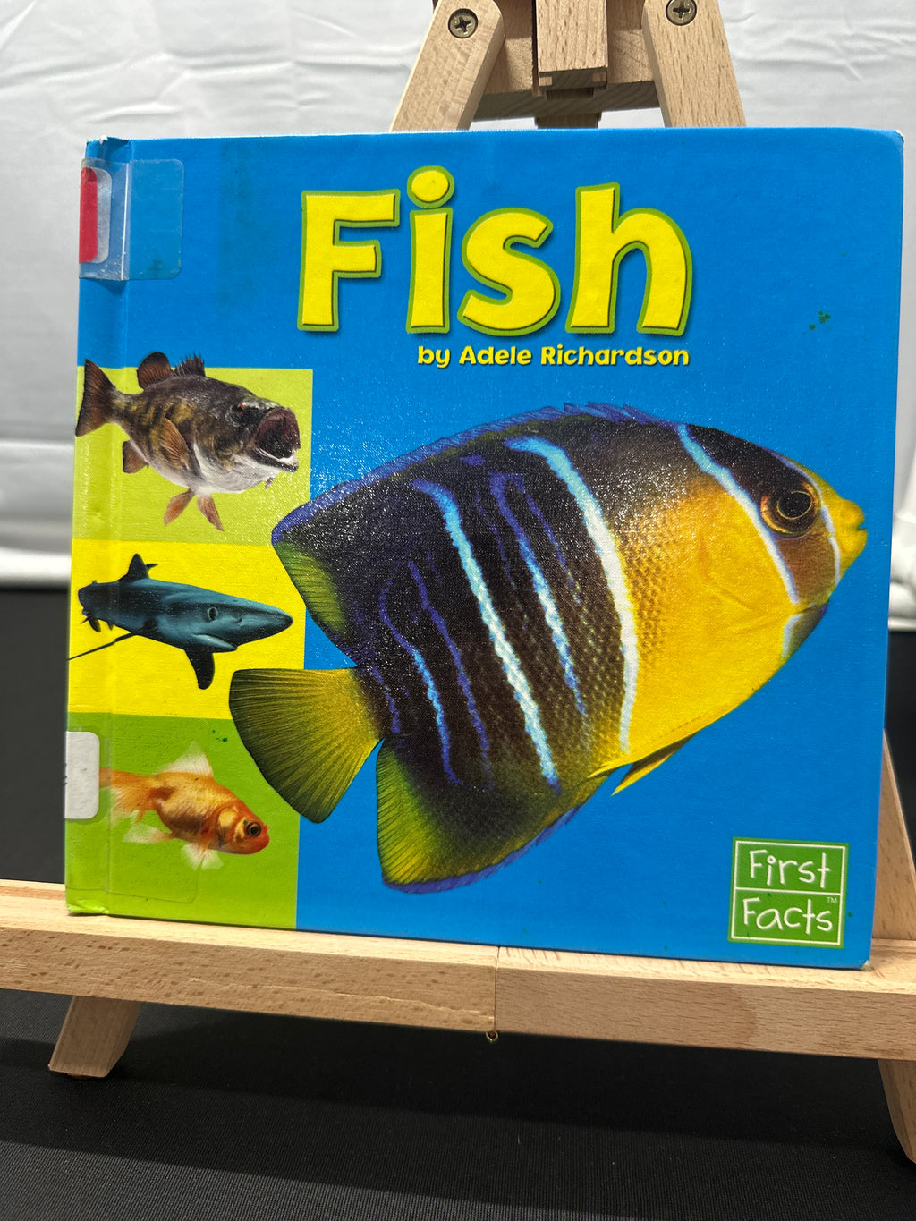 Fish (Exploring the Animal Kingdom) by Adele Richardson Hardcover