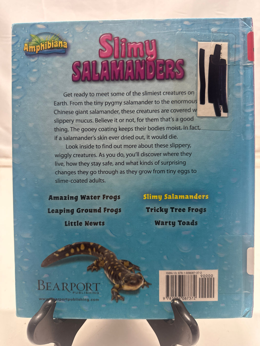 Slimy salamanders by Meish Goldish Hardcover Children's Book