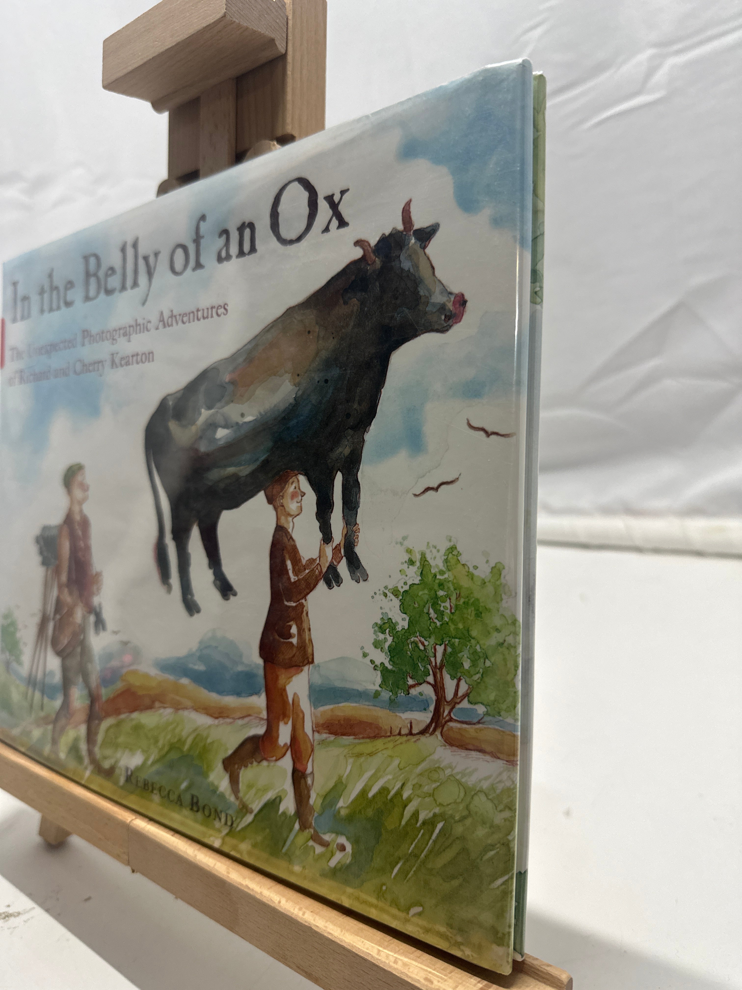 In the Belly of an Ox by Rebecca Bond Hardcover