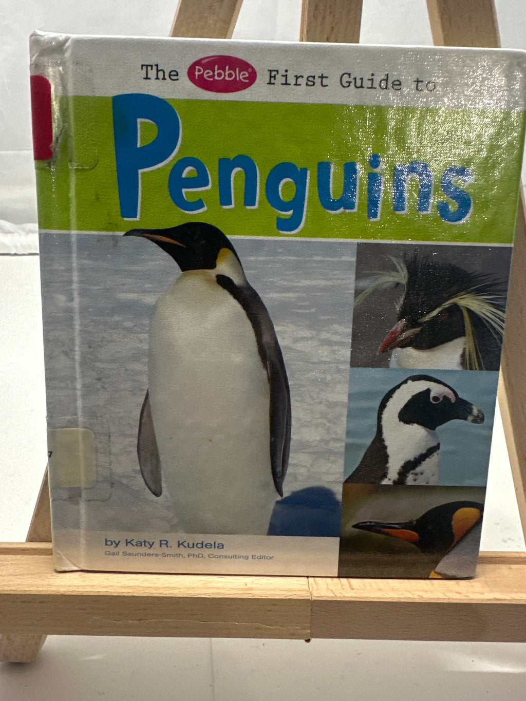 The pebble first guide to penguins by Katy R. Kudela Hardcover Children's Book