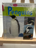 The pebble first guide to penguins by Katy R. Kudela Hardcover Children's Book