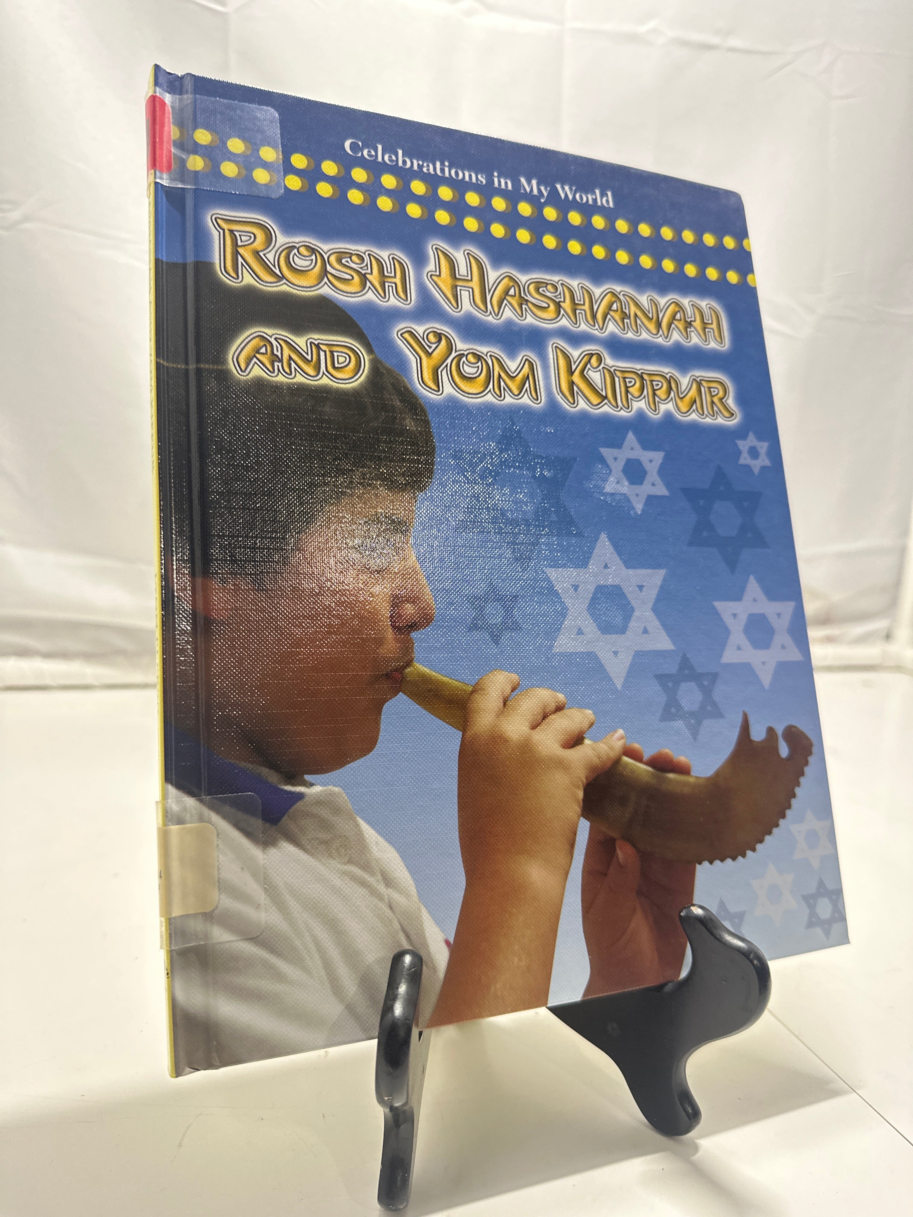 Rosh Hashanah and Yom Kippur by Lynn Peppas Hardcover Children's Book
