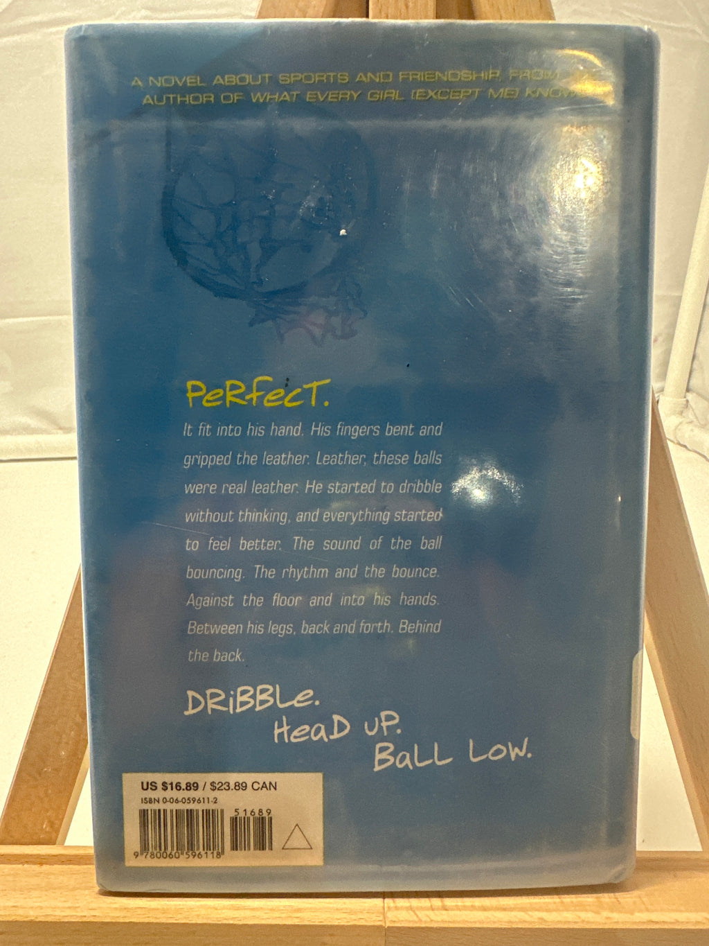 Basketball (or Something Like It) by Nora Raleigh Baskin Hardcover