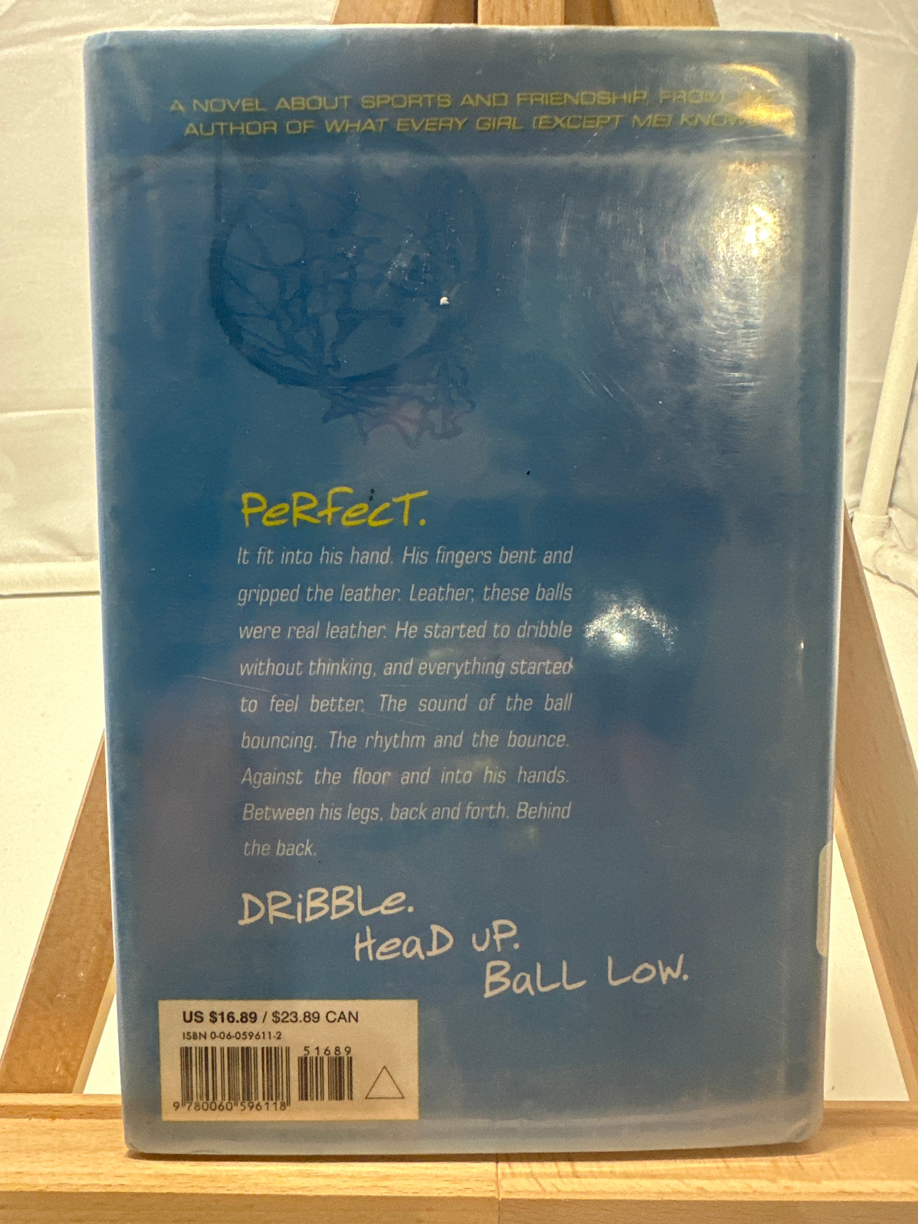 Basketball (or Something Like It) by Nora Raleigh Baskin Hardcover