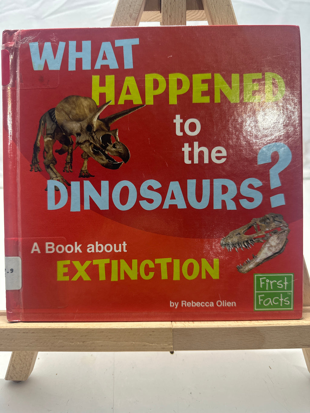 What Happened to the Dinosaurs? by Rebecca Olien Hardcover