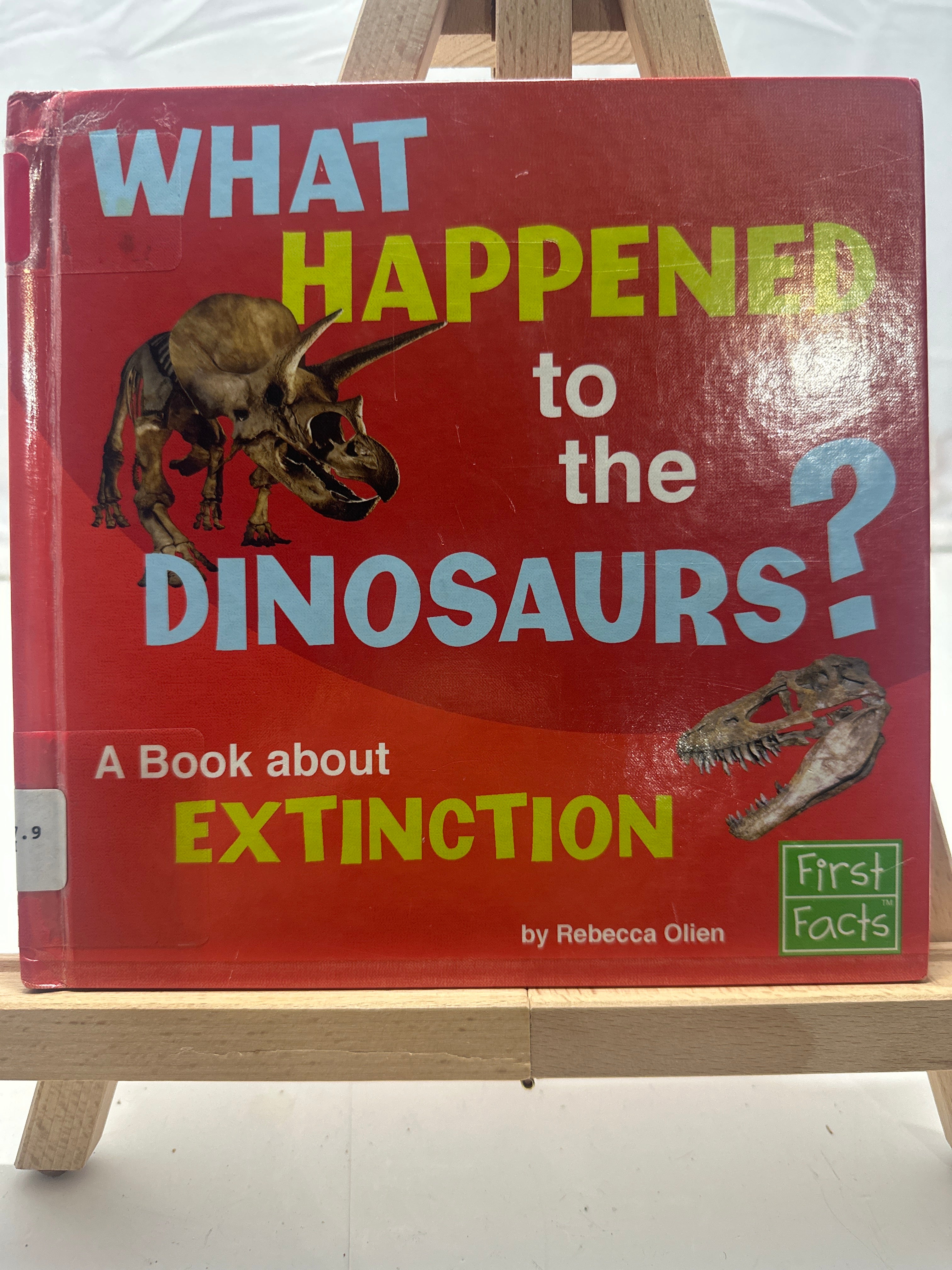 What Happened to the Dinosaurs? by Rebecca Olien Hardcover