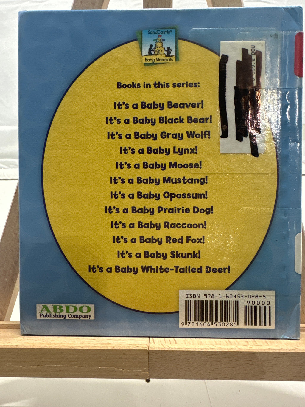 It's a Baby Opossum! (Baby Mammals) by Kelly Doudna Hardcover
