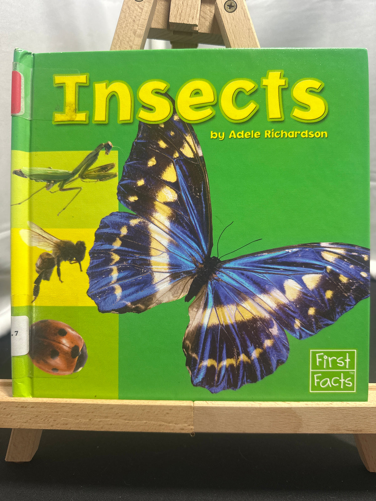 Insects (Exploring the Animal Kingdom) by Adele Richardson Hardcover