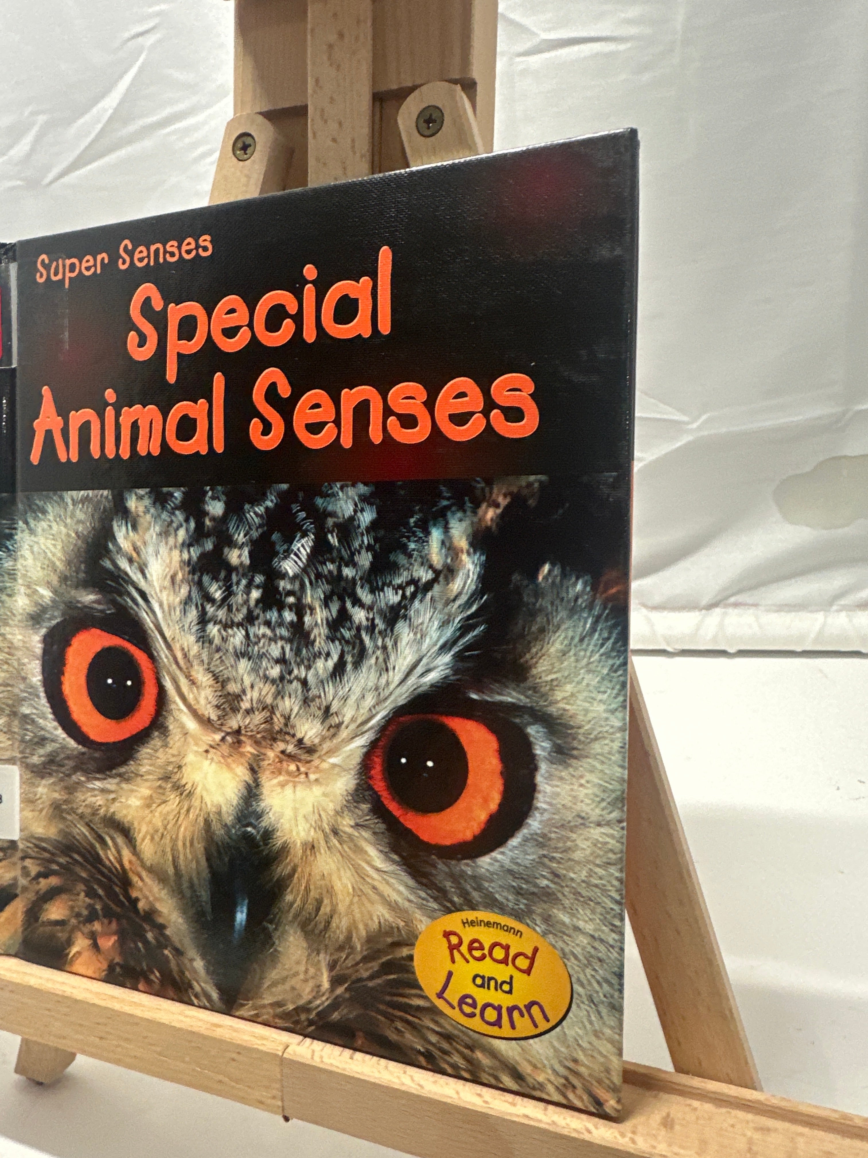 Special Animal Senses by Mary Mackill Hardcover