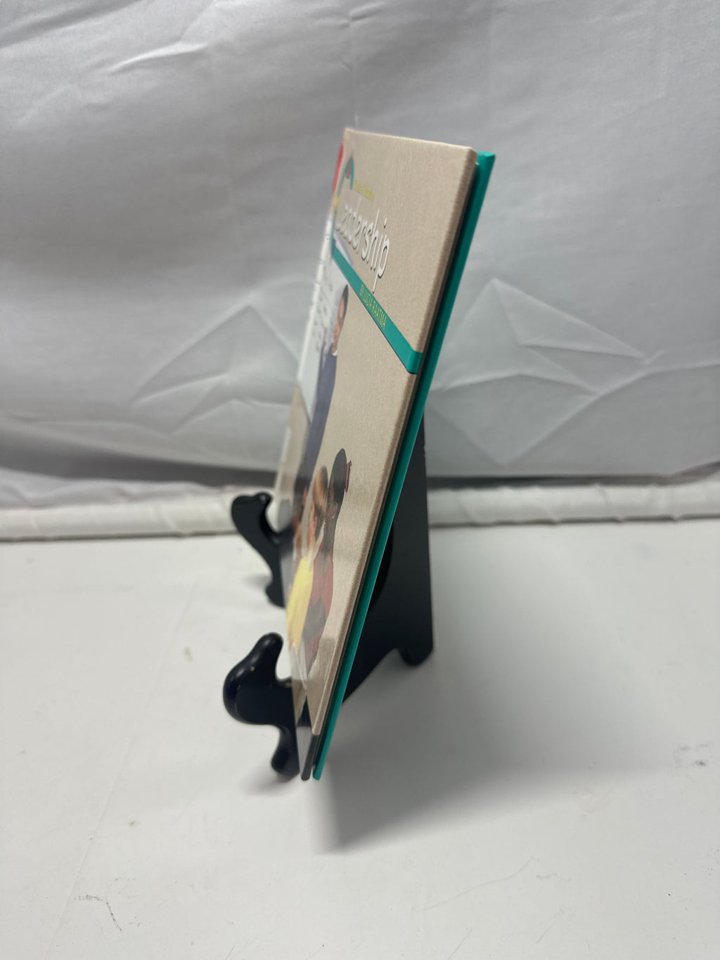 Leadership (Character Education) Hardcover