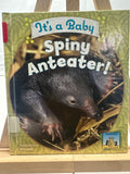 It's a baby spiny anteater! by Katherine Hengel Hardcover Children's Book