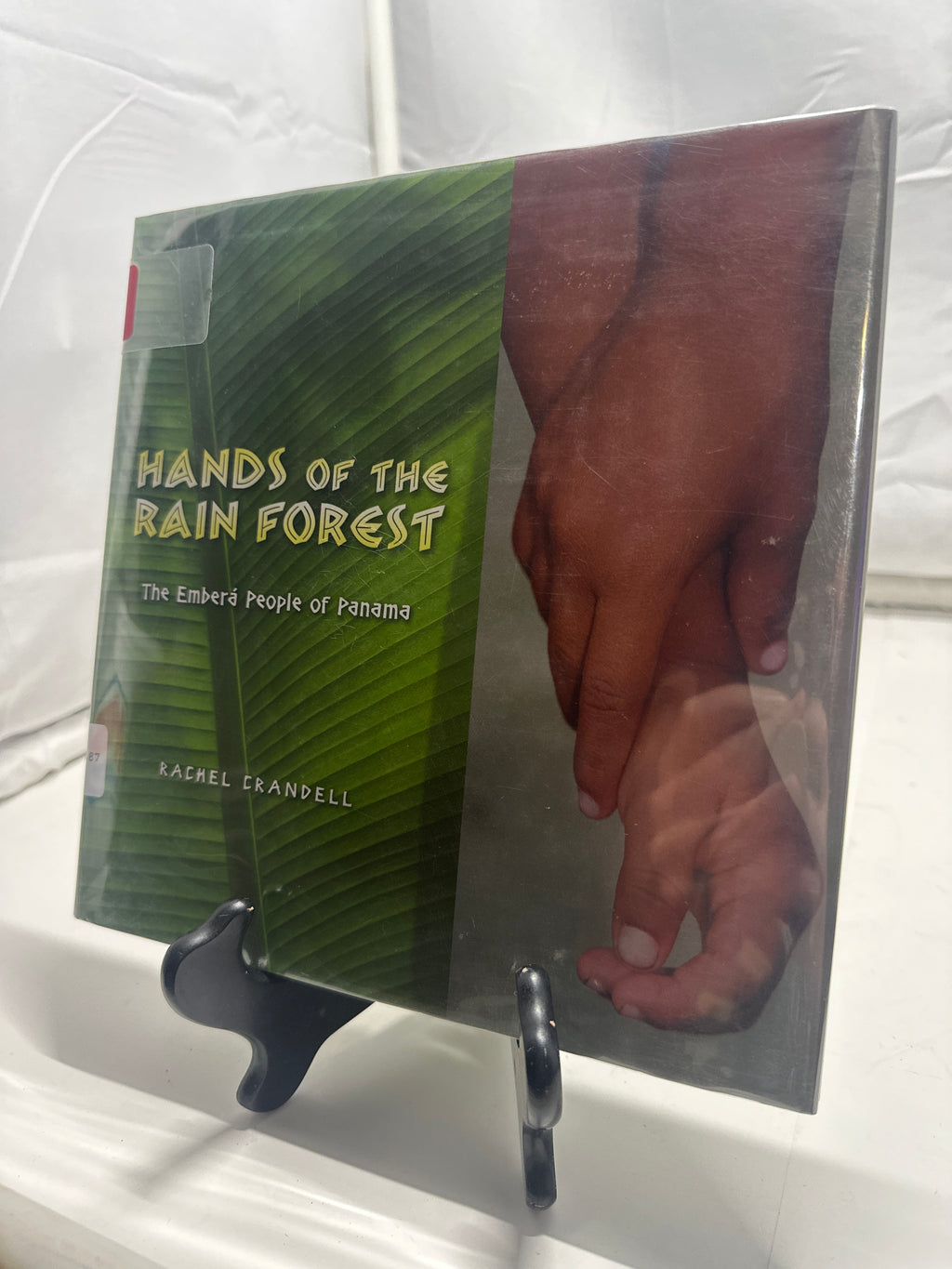 Hands of the rainforest by Rachel Crandell Hardcover