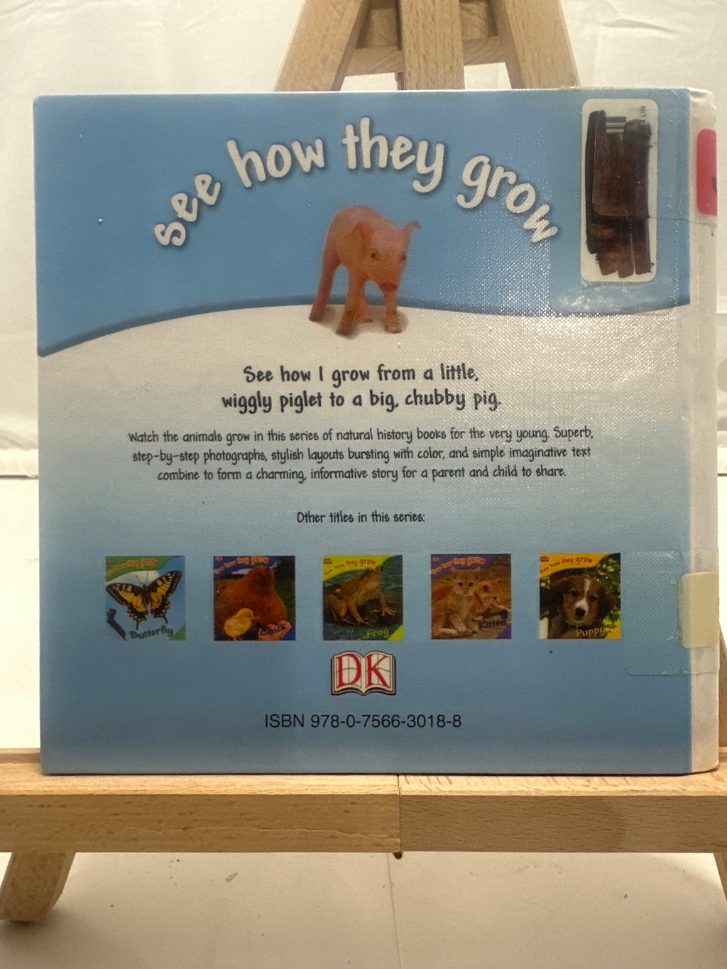 Pig by DK Publishing Hardcover
