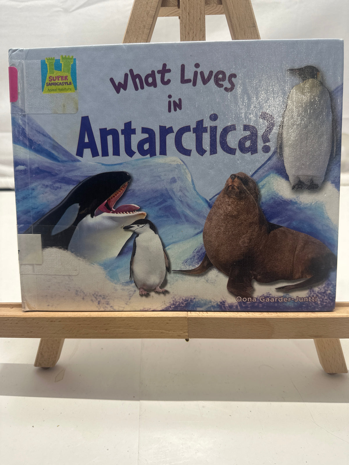 What Lives in Antarctica? by Oona Gaarder-Juntti Hardcover