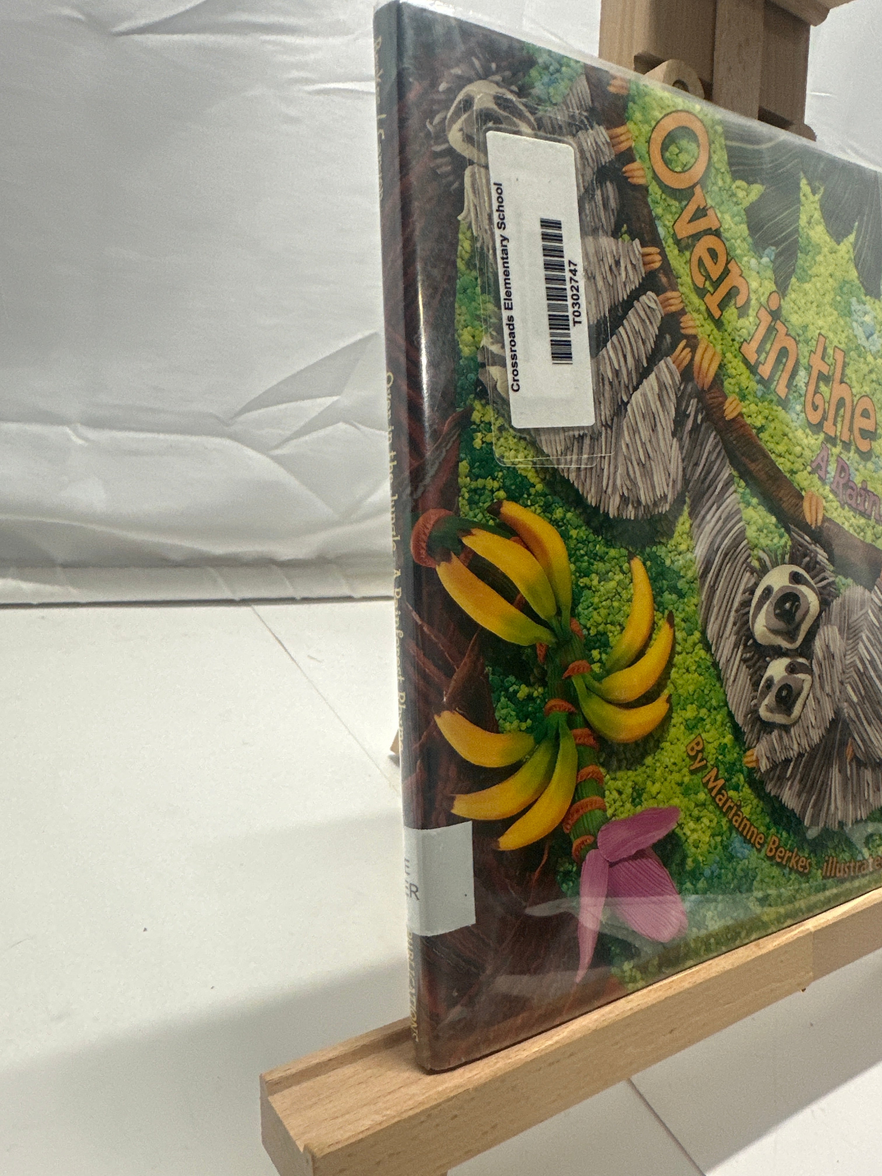 Over in the Jungle by Marianne Berkes Hardcover