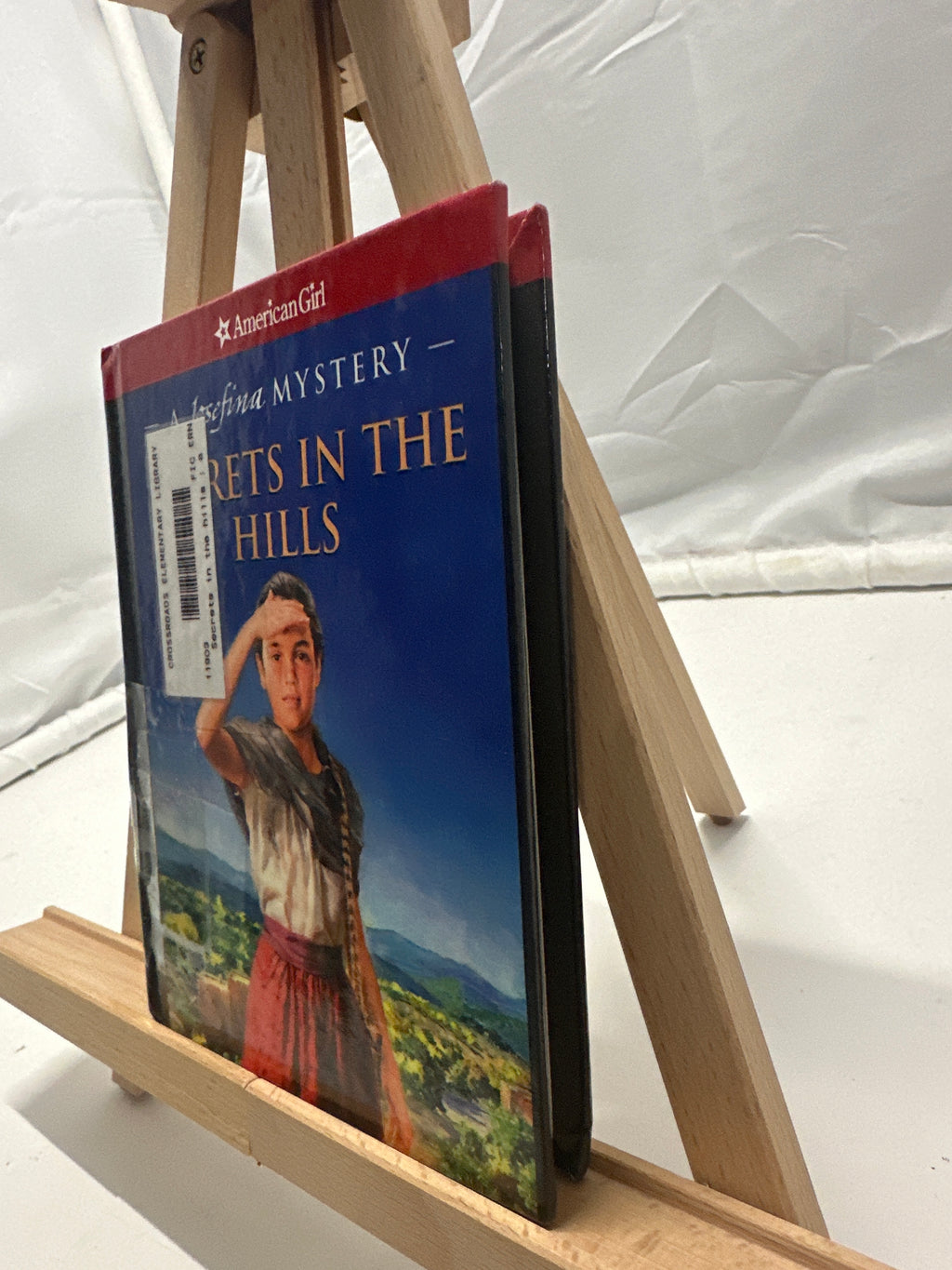 Secrets in the Hills by Kathleen Ernst Hardcover
