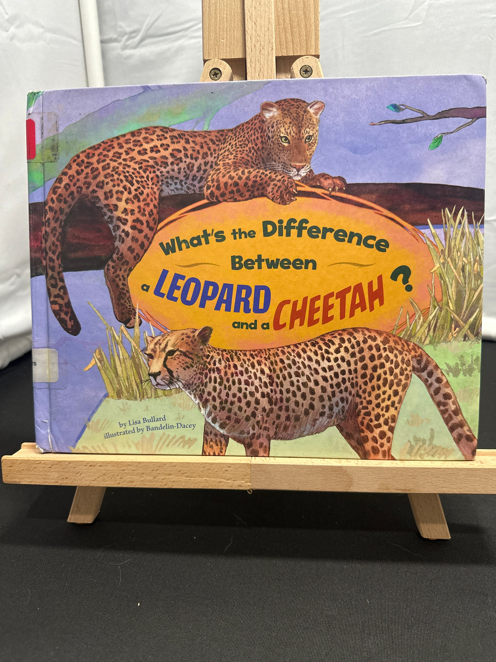 What's the difference between a leopard and a cheetah? by Lisa Bullard Hardcover