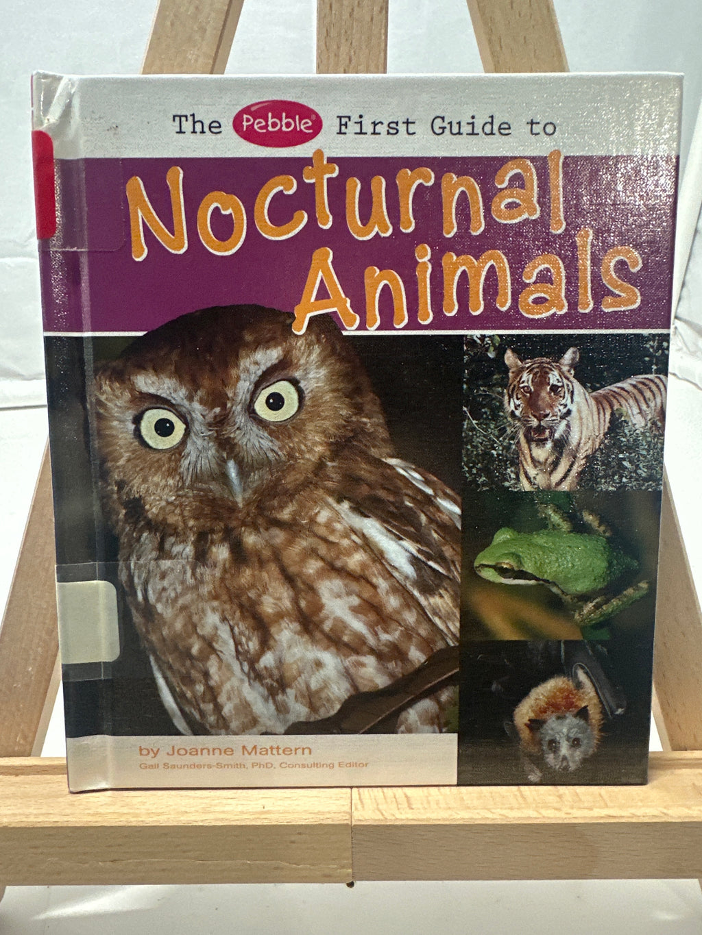 The Pebble First Guide to Nocturnal Animals by Joanne Mattern Hardcover