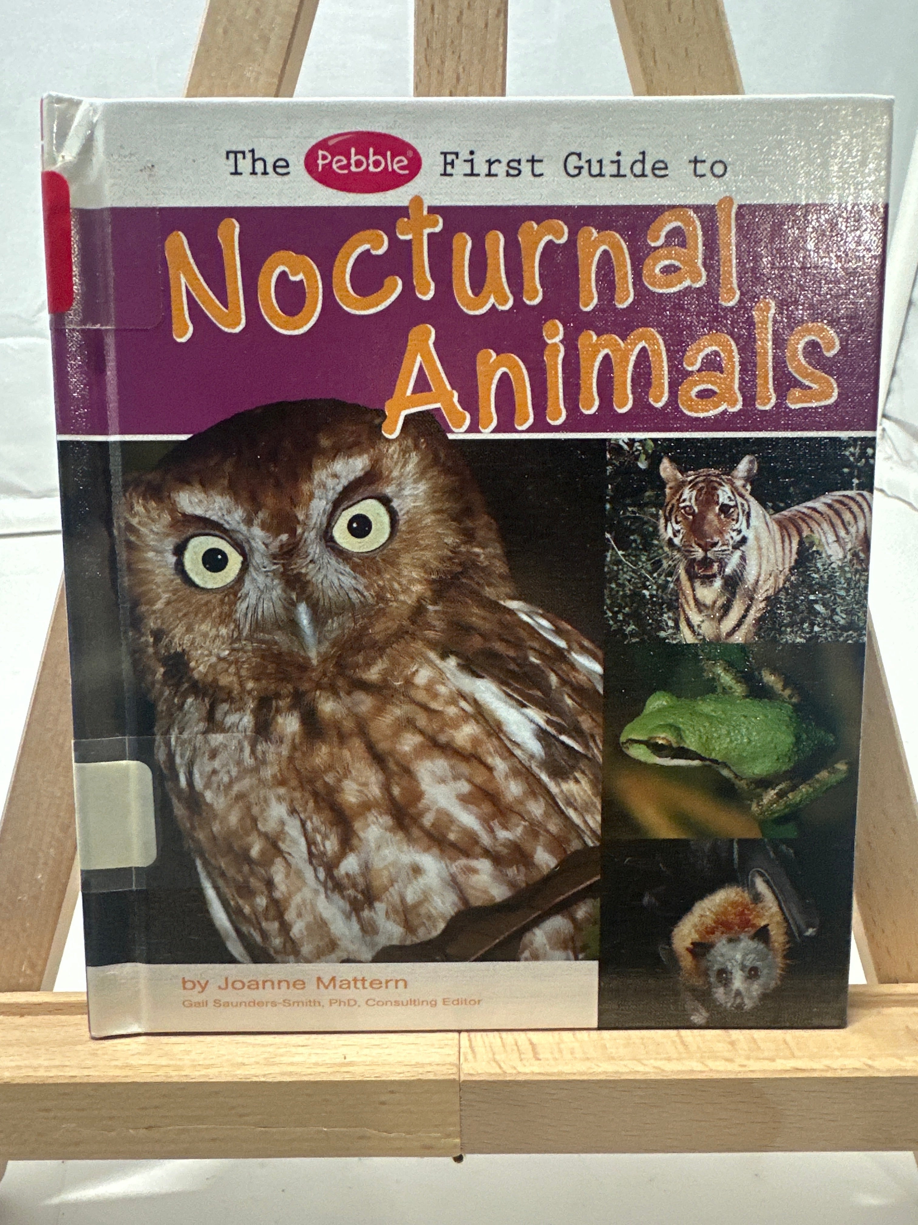 The Pebble First Guide to Nocturnal Animals by Joanne Mattern Hardcover