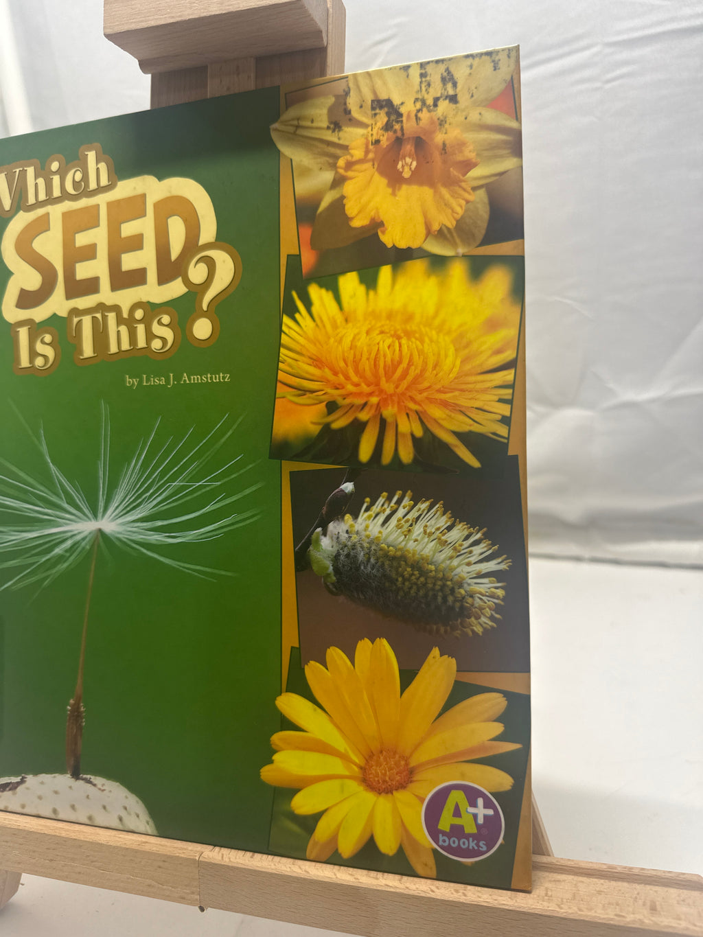 Which Seed Is This? by Lisa J. Amstutz Hardcover