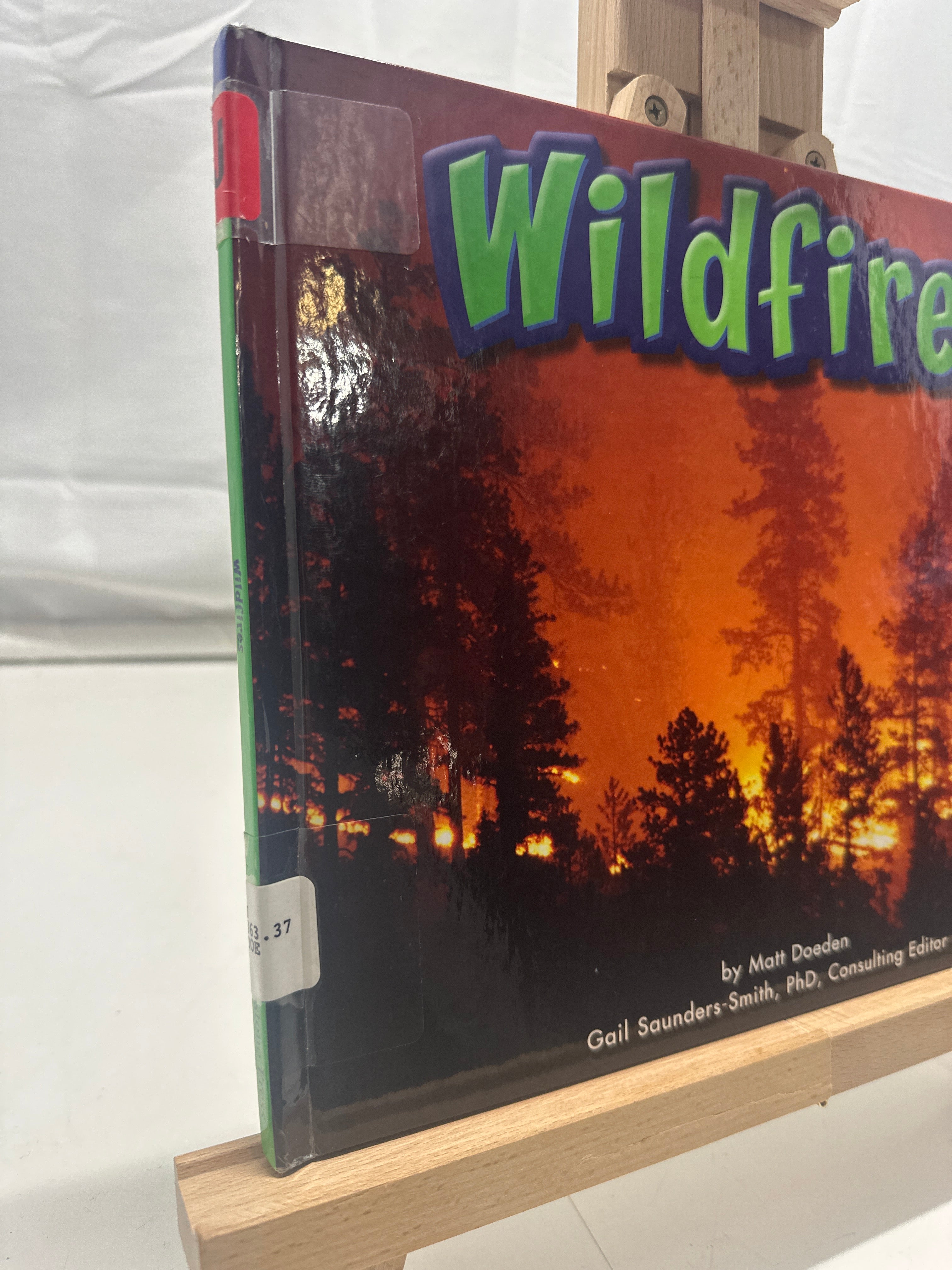 Wildfires by Matt Doeden Hardcover