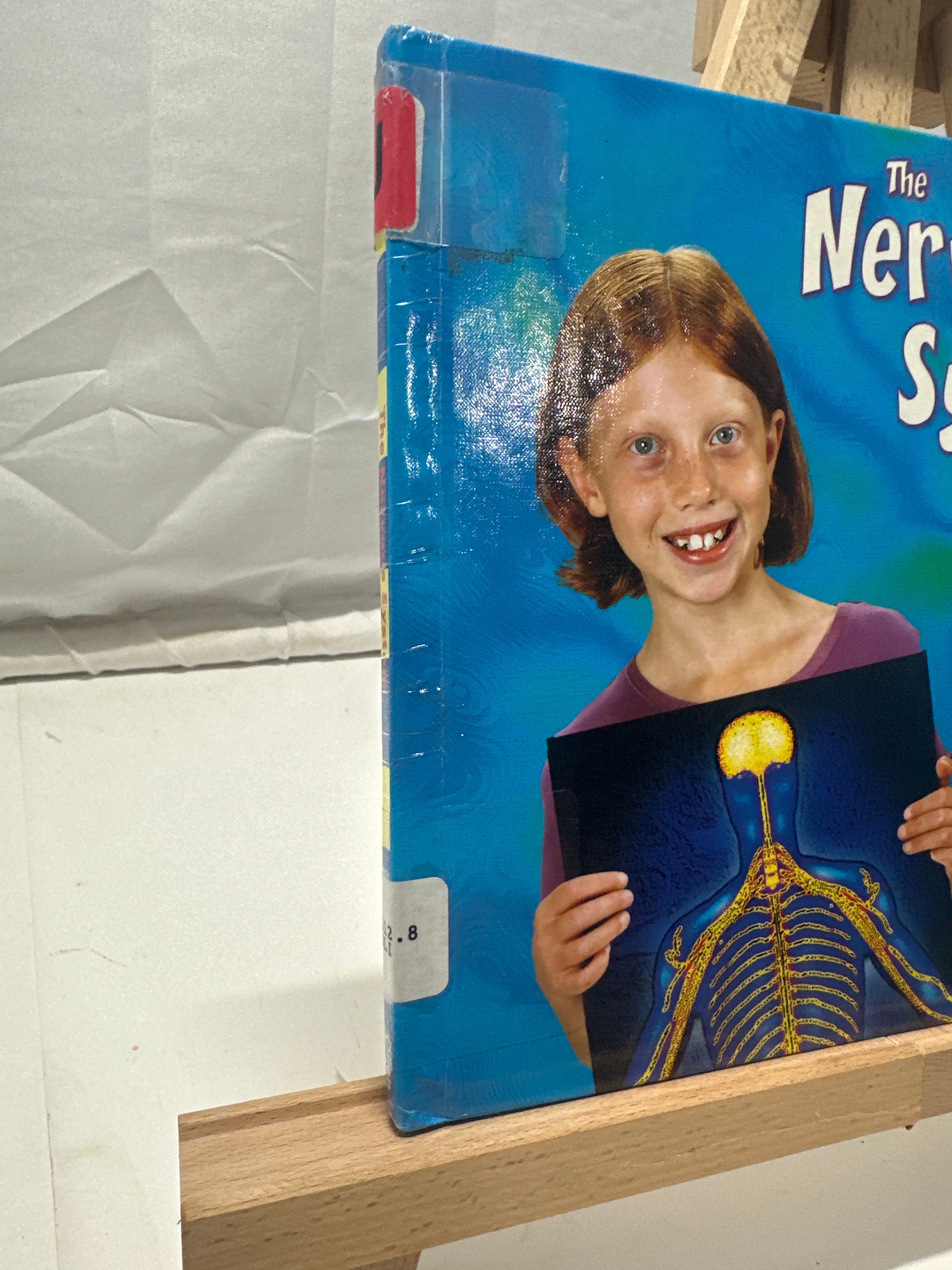 The Nervous System by Rebecca Olien Hardcover