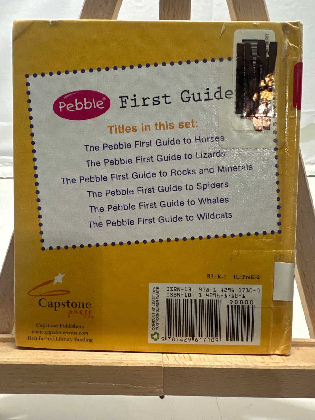 The pebble first guide to lizards by Zachary Pitts Hardcover Children's Book