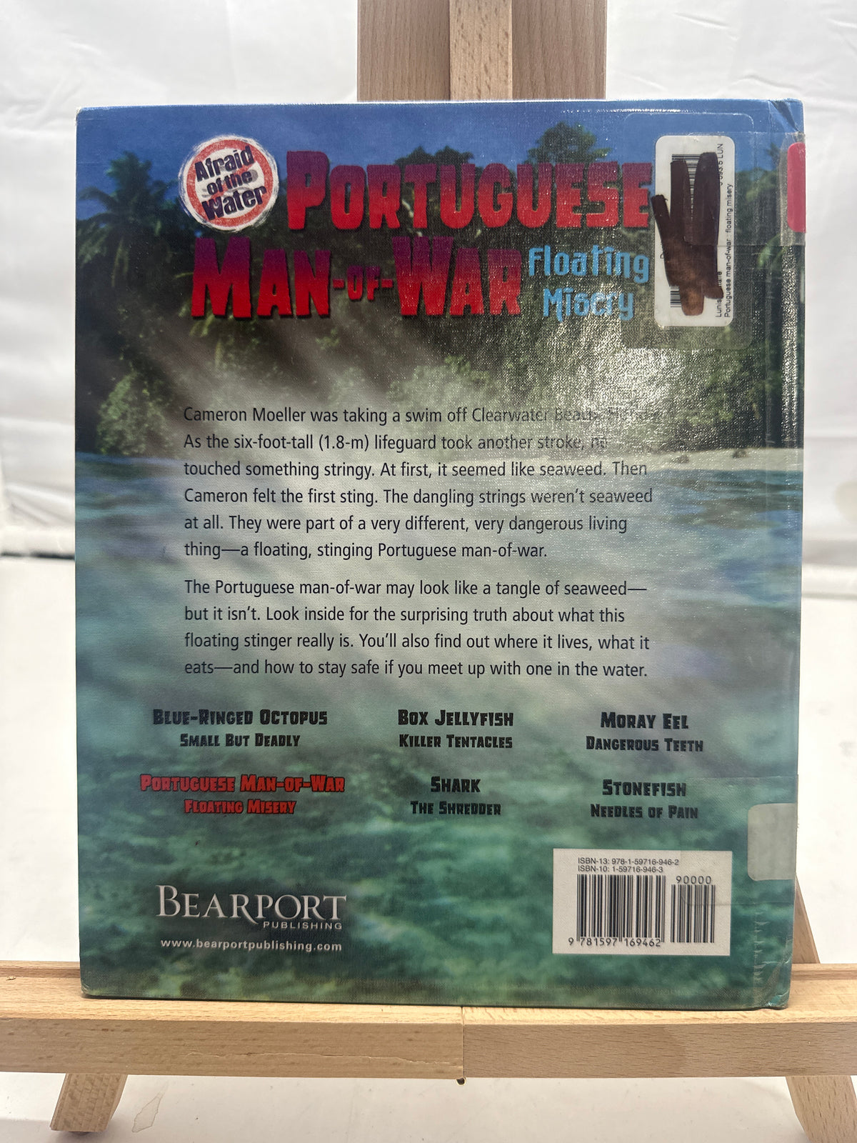 Portuguese Man-of-war by Natalie Lunis Hardcover