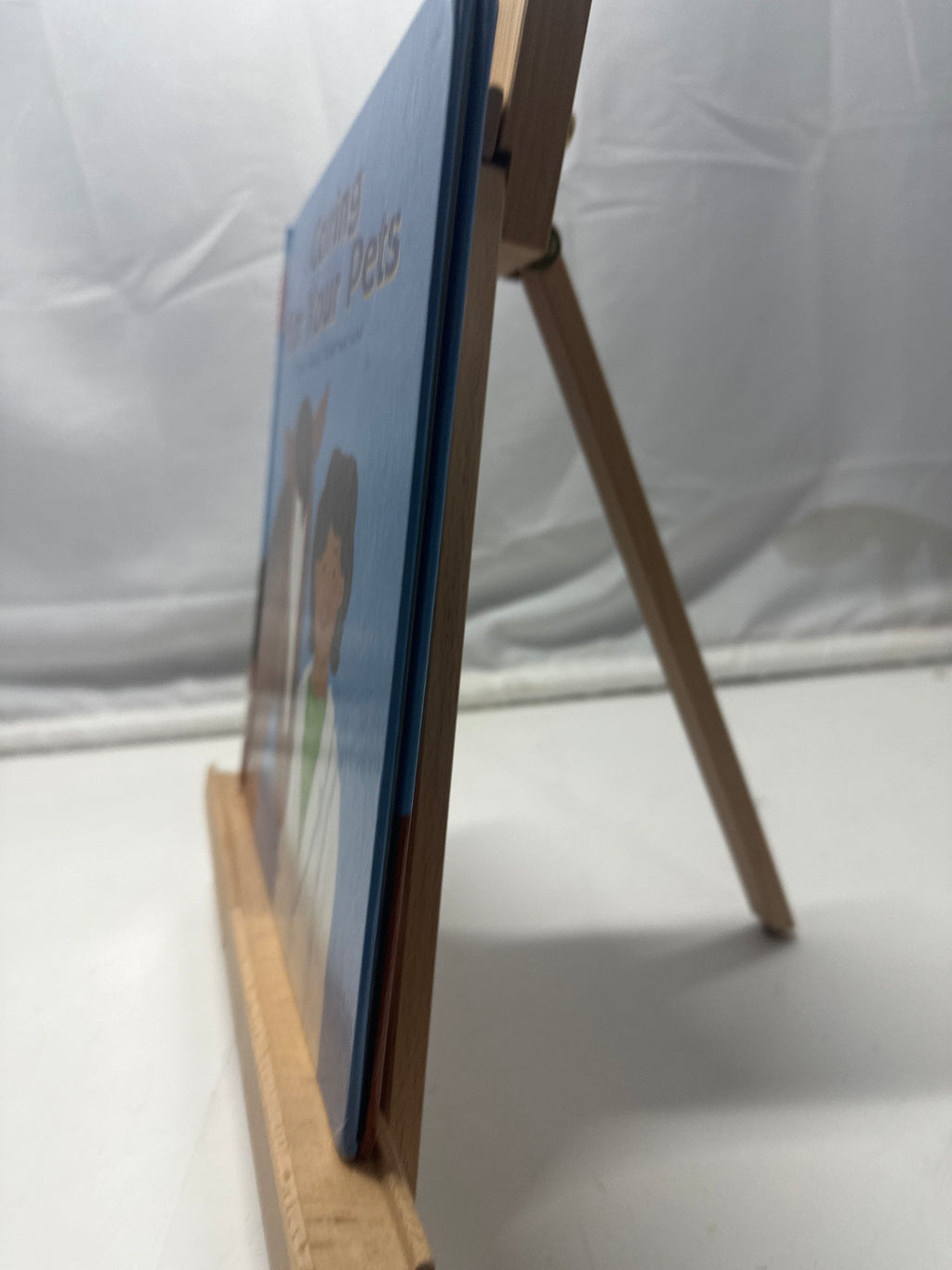Caring for Your Pets by Ann Owen Hardcover