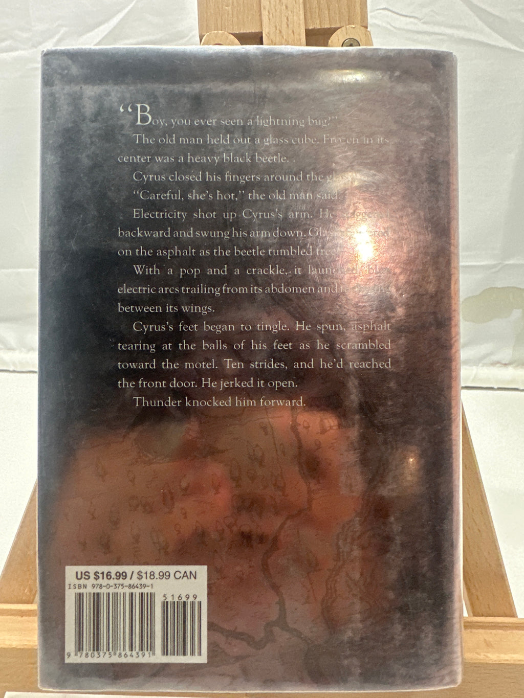 The dragon's tooth by Nathan D. Wilson Hardcover