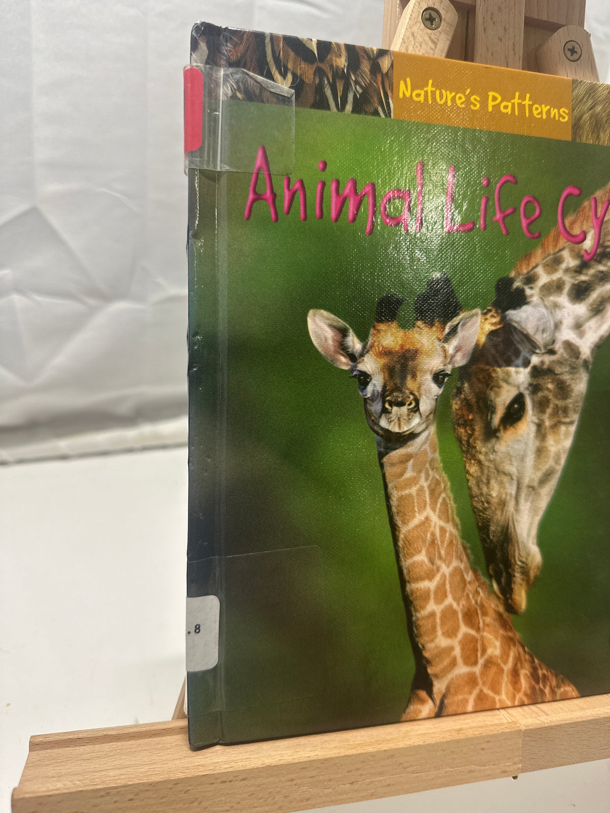 Animal Life Cycles by Anita Ganeri Hardcover