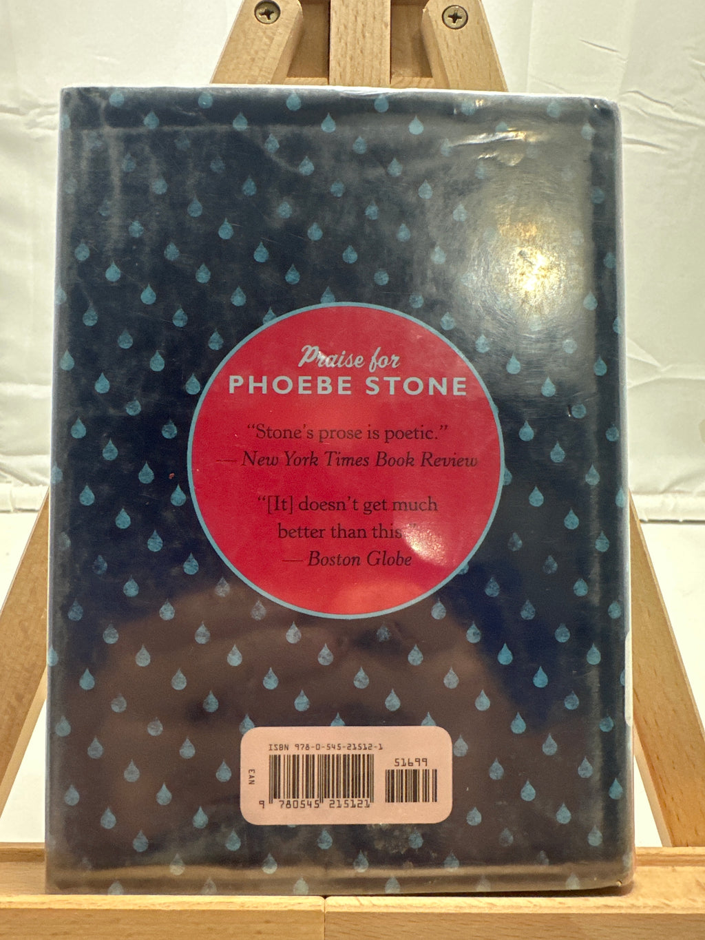 The Boy on Cinnamon Street by Phoebe Stone Hardcover