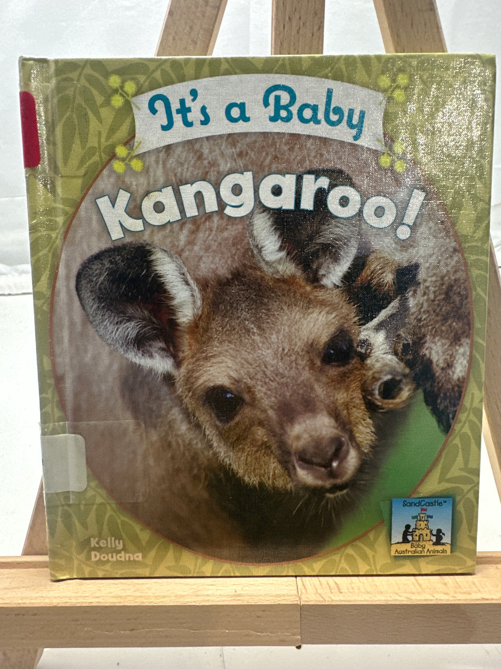 It's a baby kangaroo! by Kelly Doudna Hardcover Children's Book
