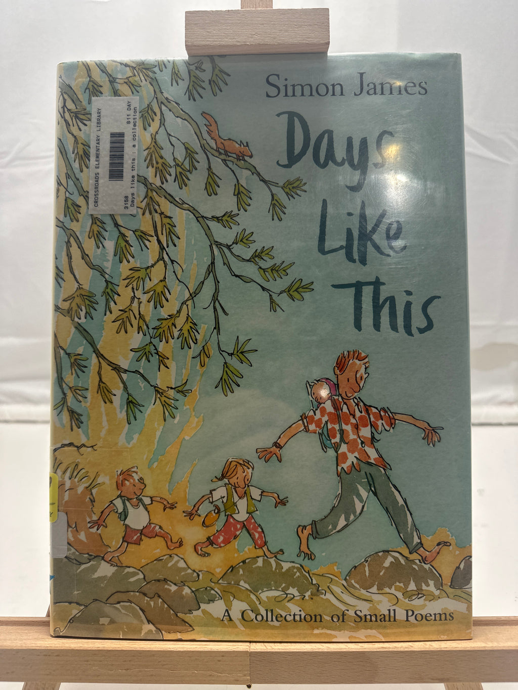 Days Like this by Simon James Hardcover