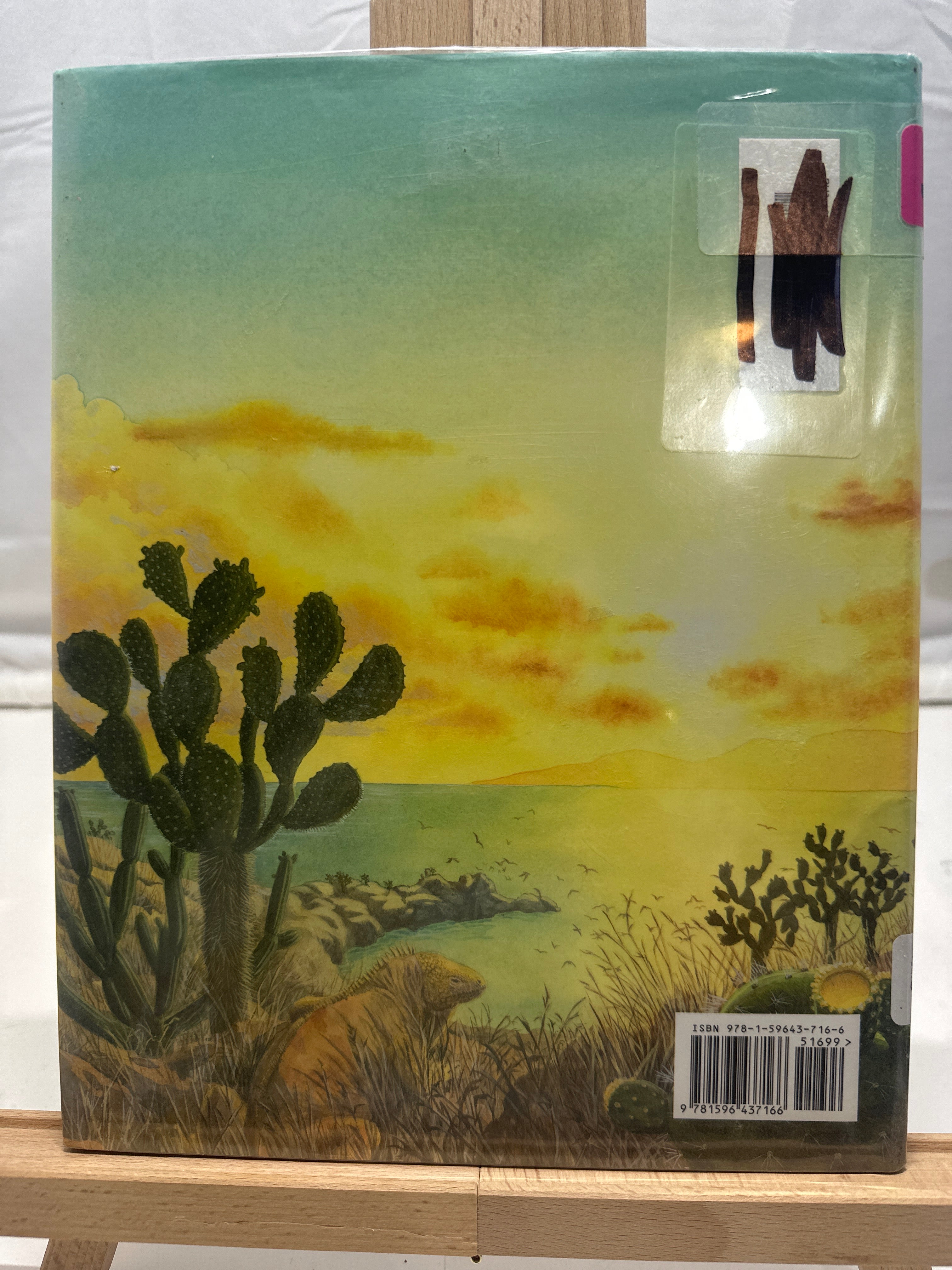 Island by Jason Chin Hardcover