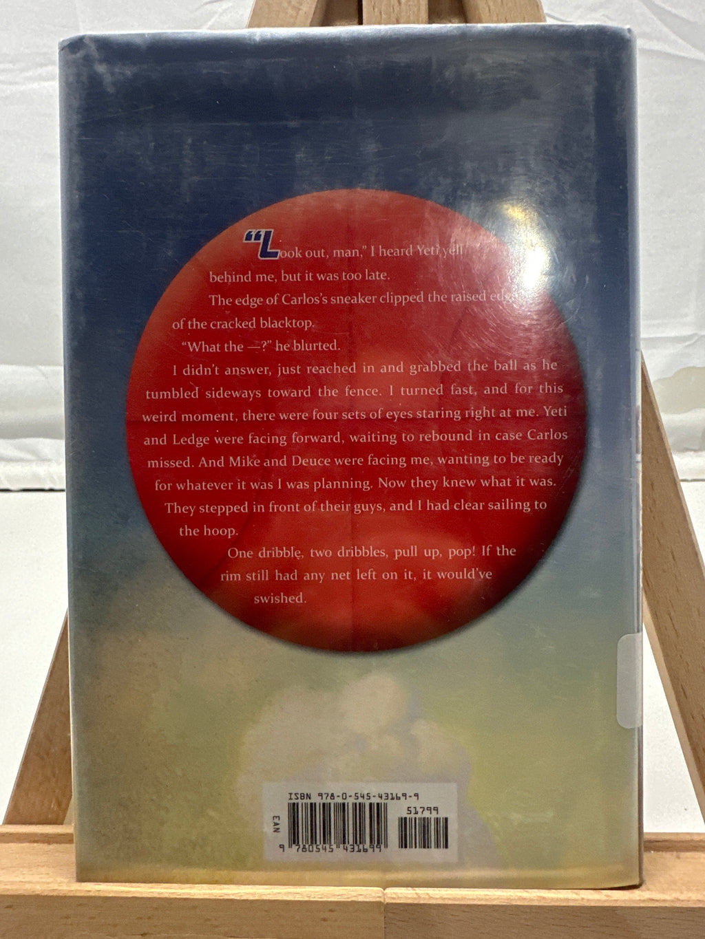Home Court by Amar'e Stoudemire Hardcover