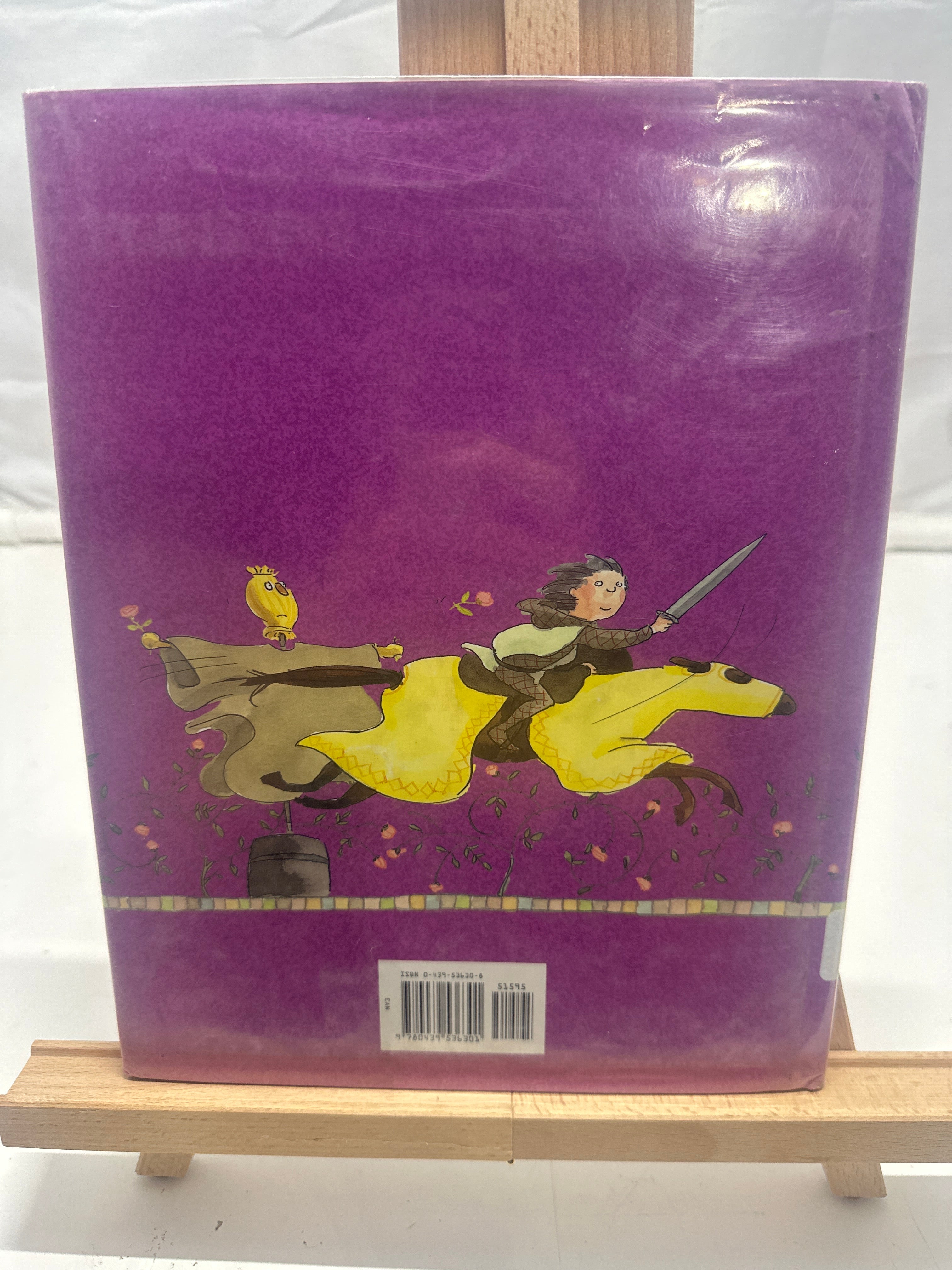 The Princess Knight by Cornelia Caroline Funke Hardcover