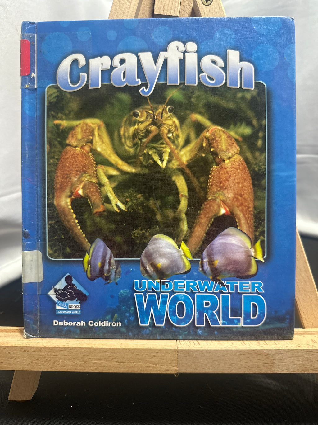 Crayfish by Deborah Coldiron Hardcover Children's Book