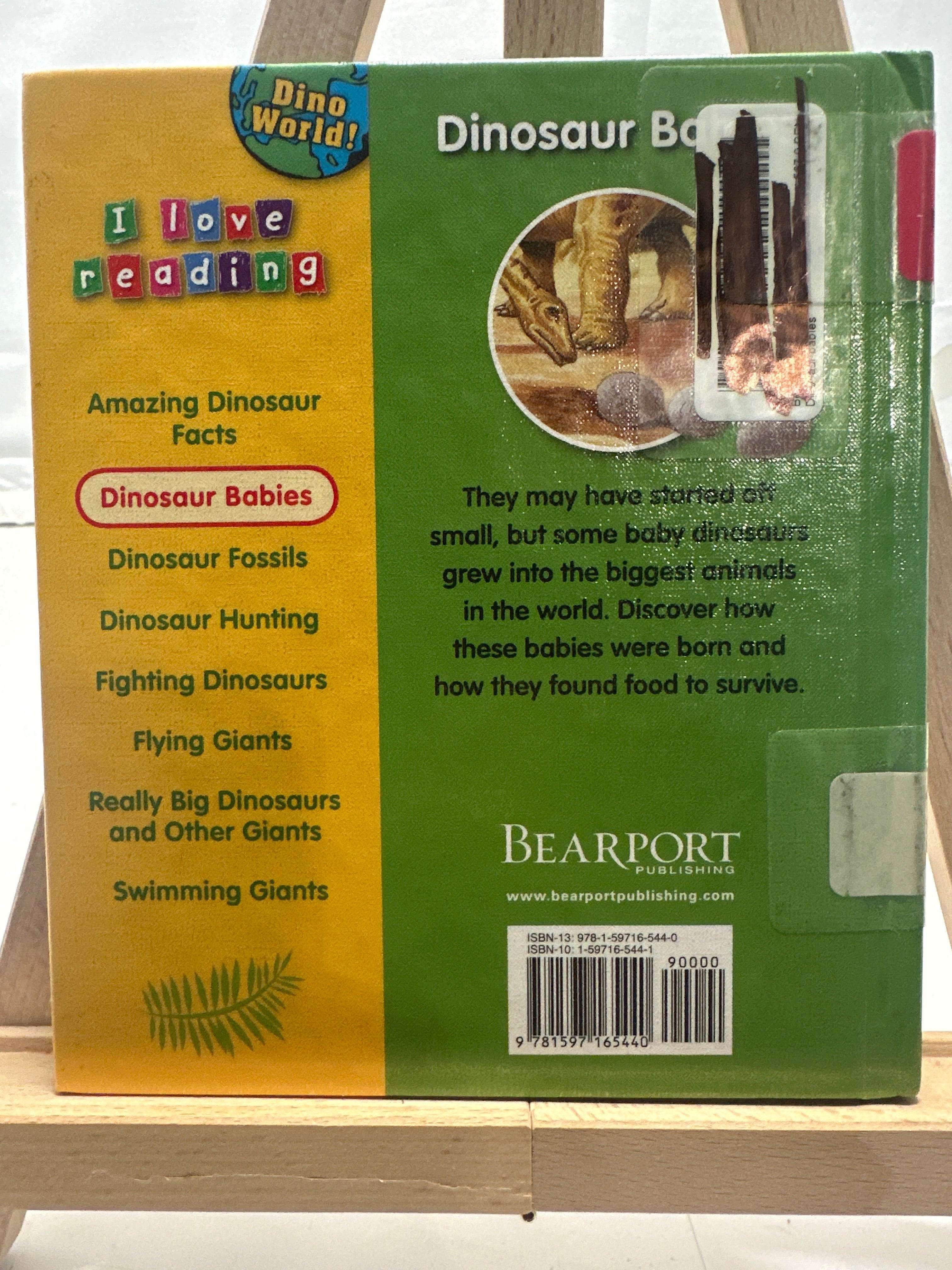 Dinosaur Babies (I Love Reading: Dino World) by Leonie Bennett Hardcover