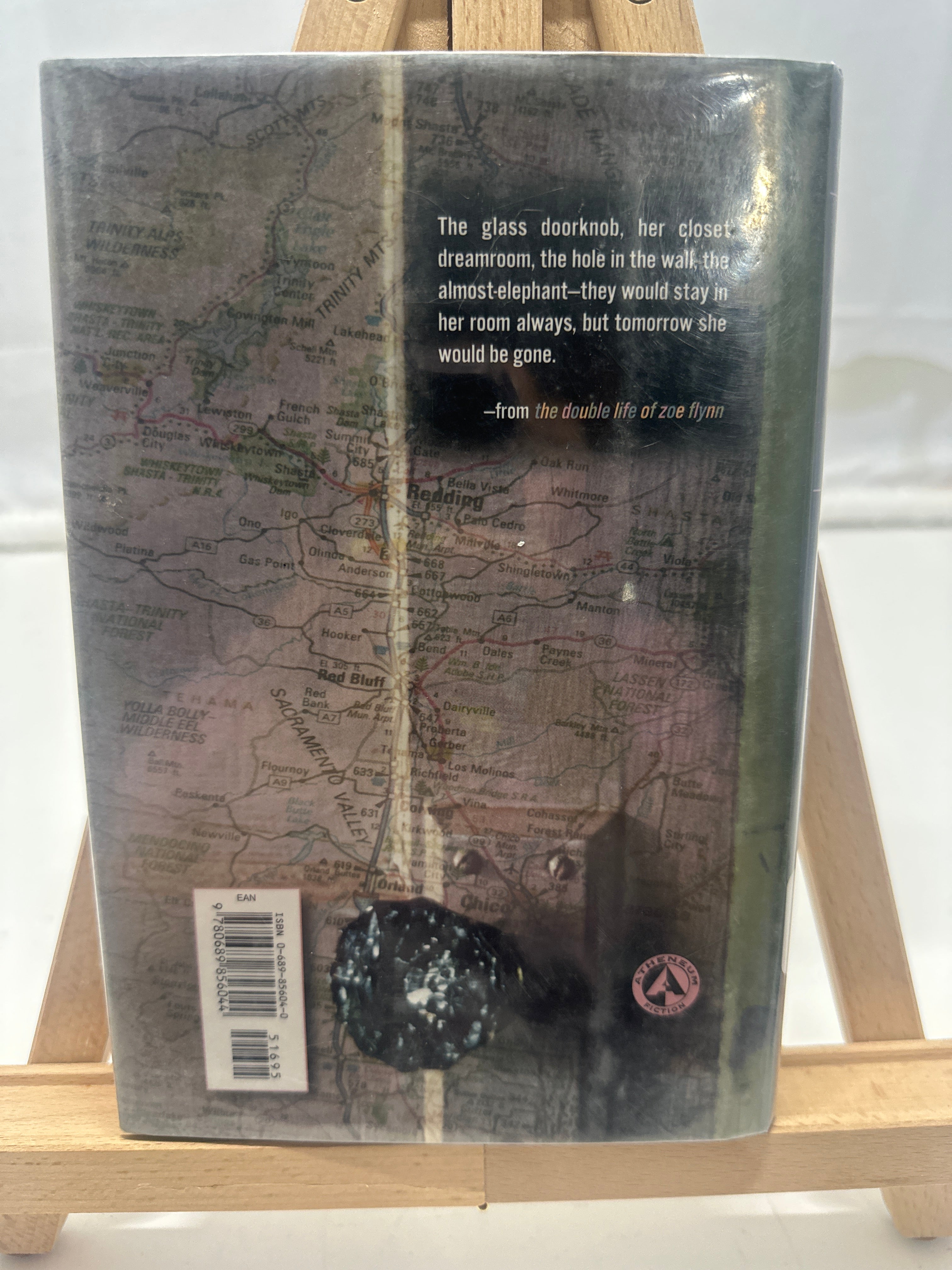 The Double Life of Zoe Flynn by Janet Lee Carey Hardcover