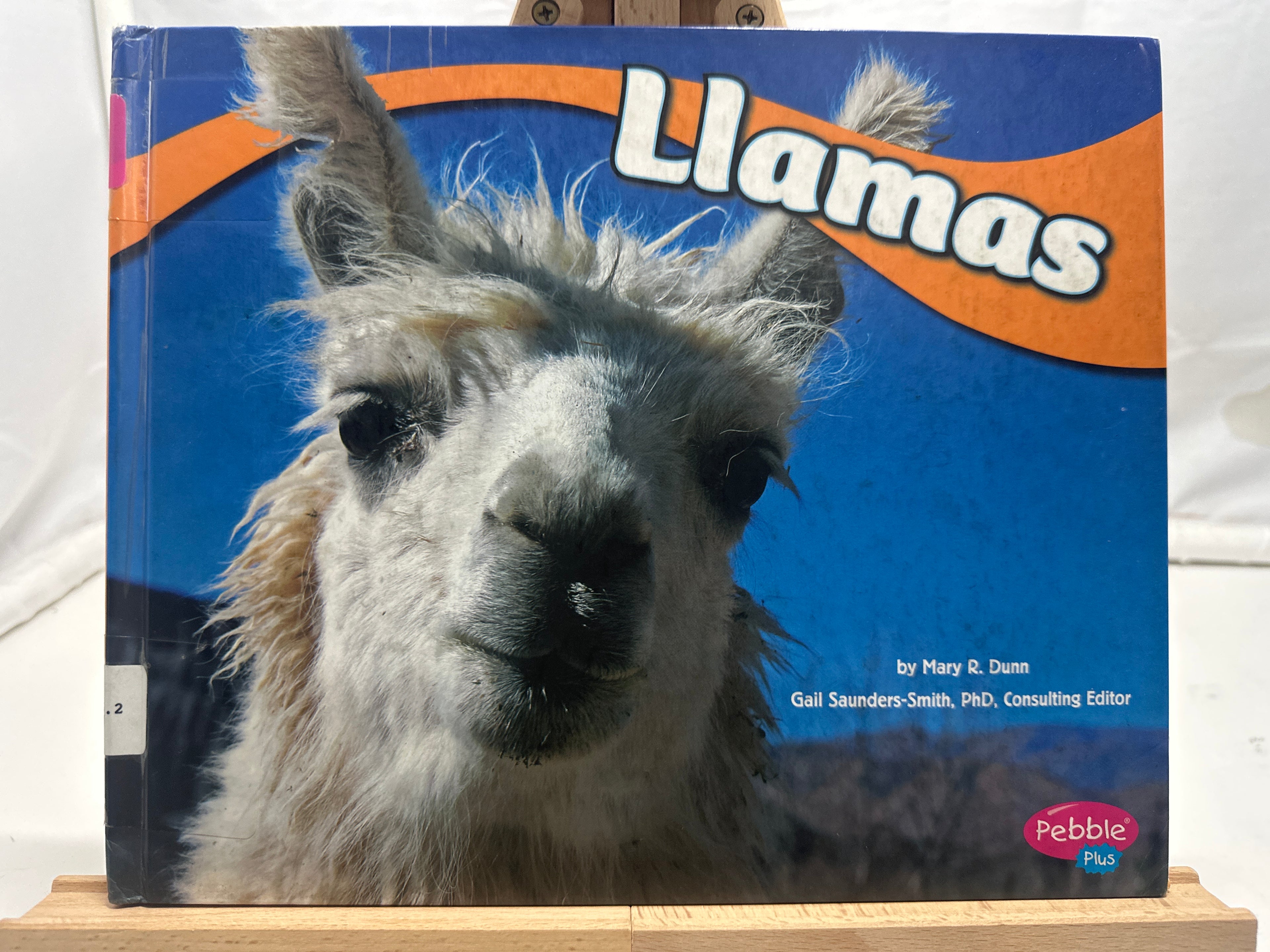 Llamas by Mary R. Dunn Hardcover