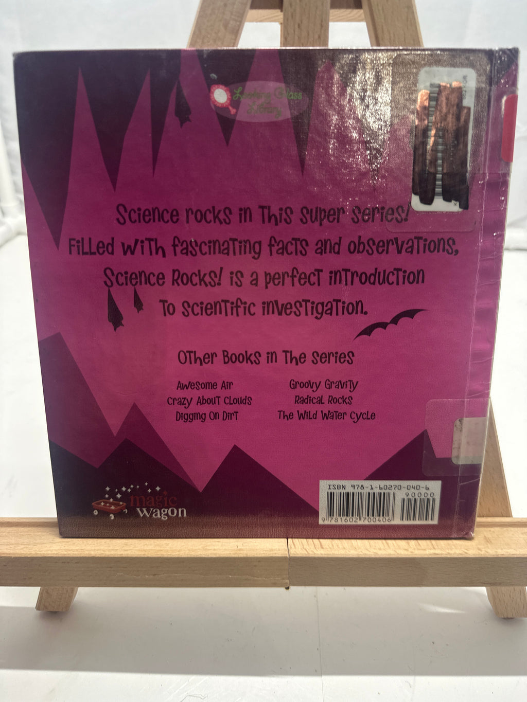 Radical Rocks (Science Rocks) (Science Rocks) by Rena Korb Hardcover