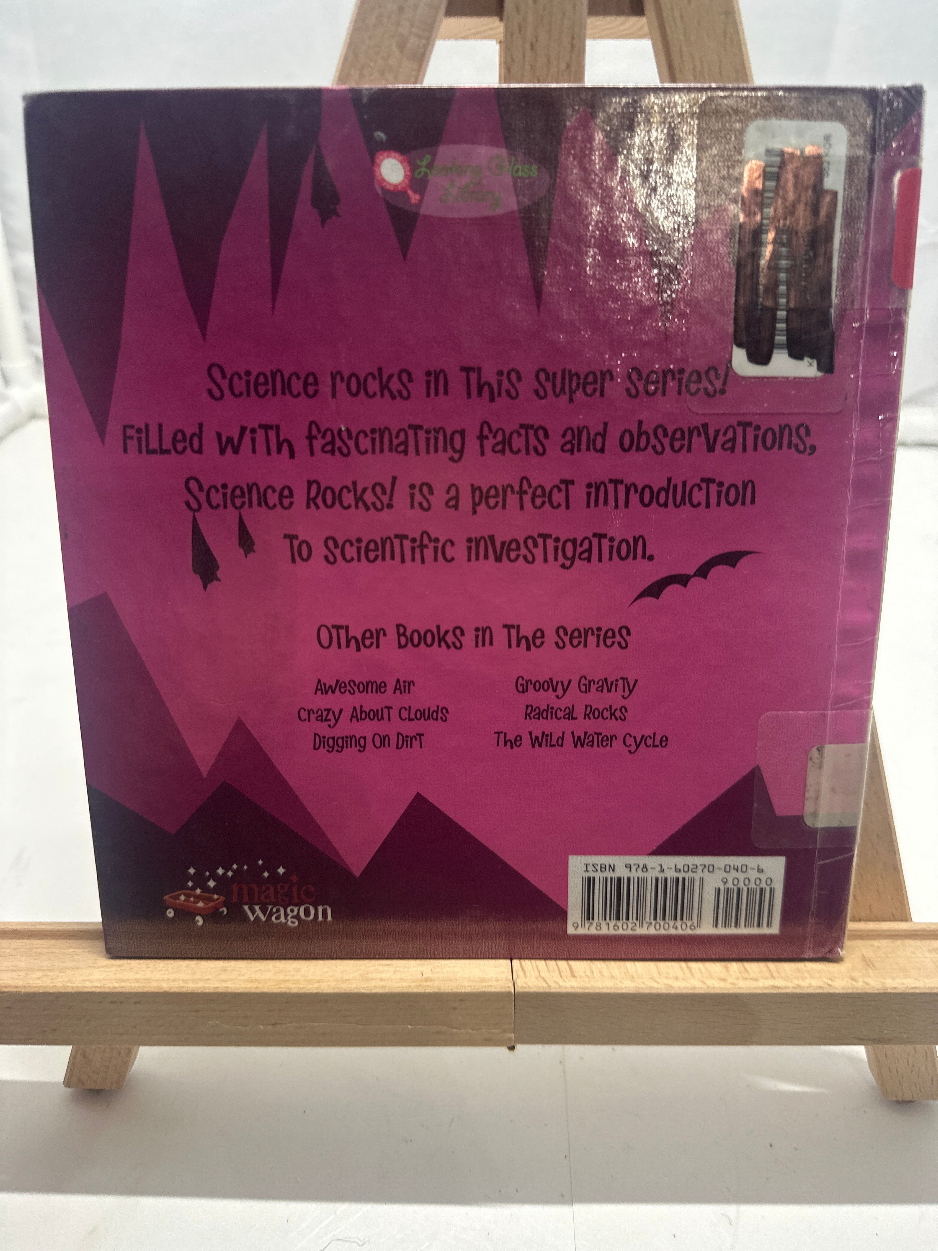 Radical Rocks (Science Rocks) (Science Rocks) by Rena Korb Hardcover