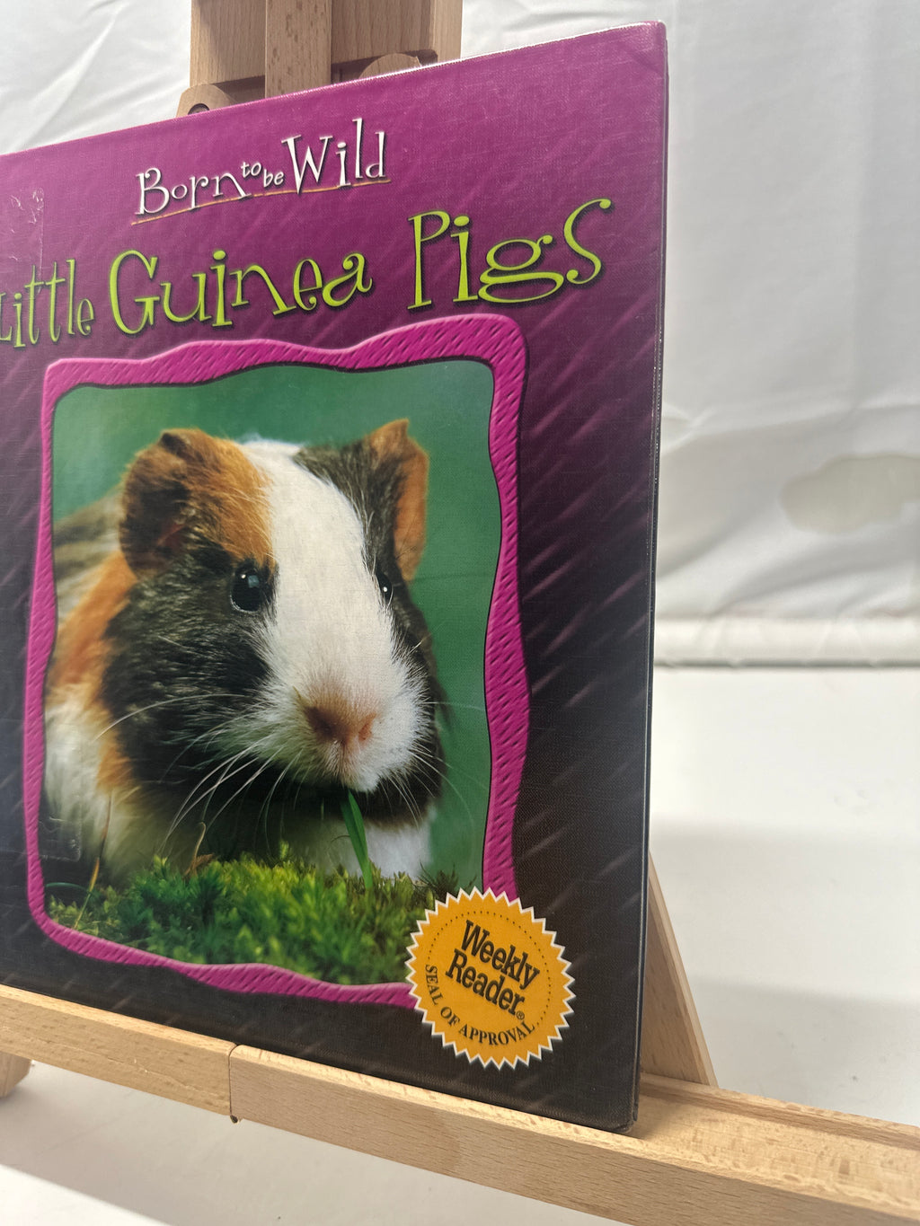 Little guinea pigs by Anne Royer Hardcover Children's Book