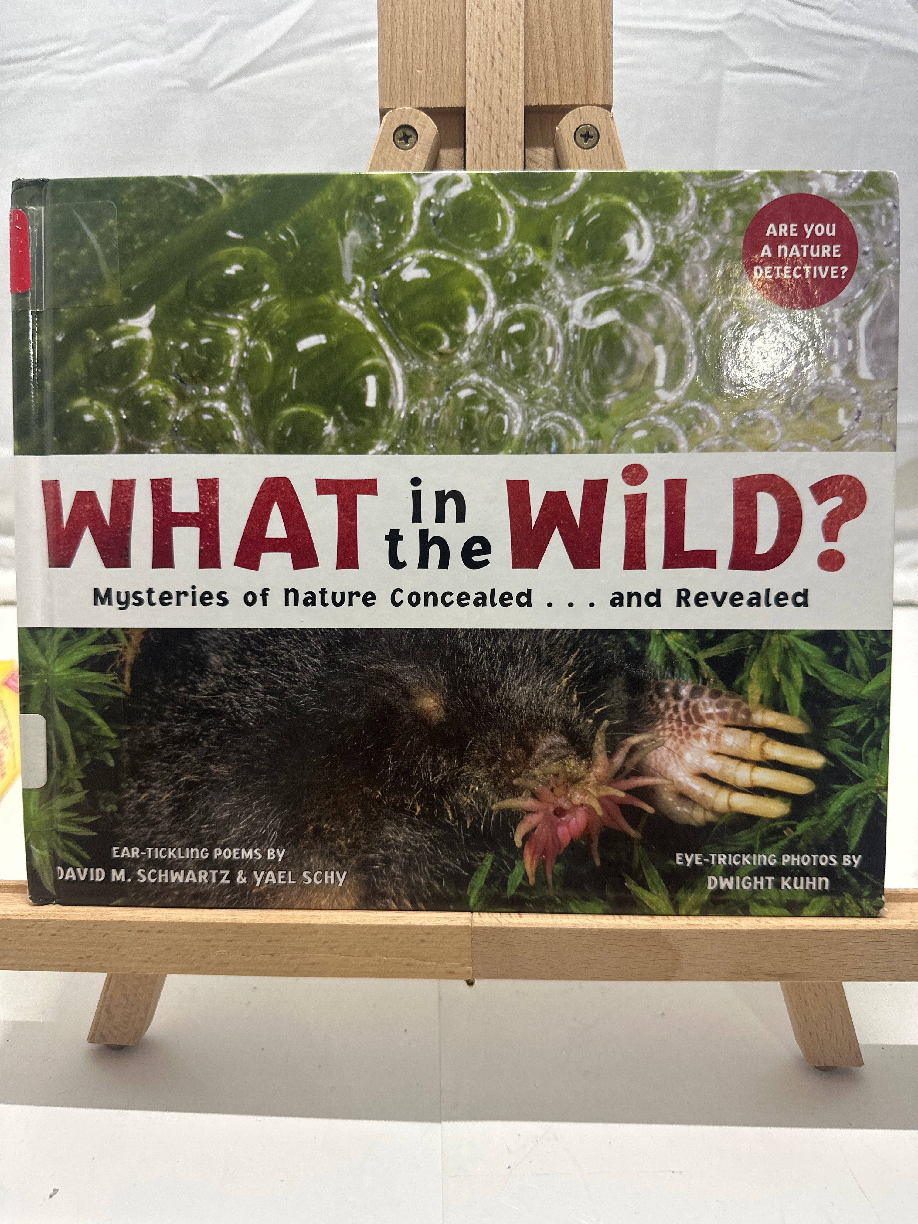 What in the Wild? by David Schwartz Hardcover