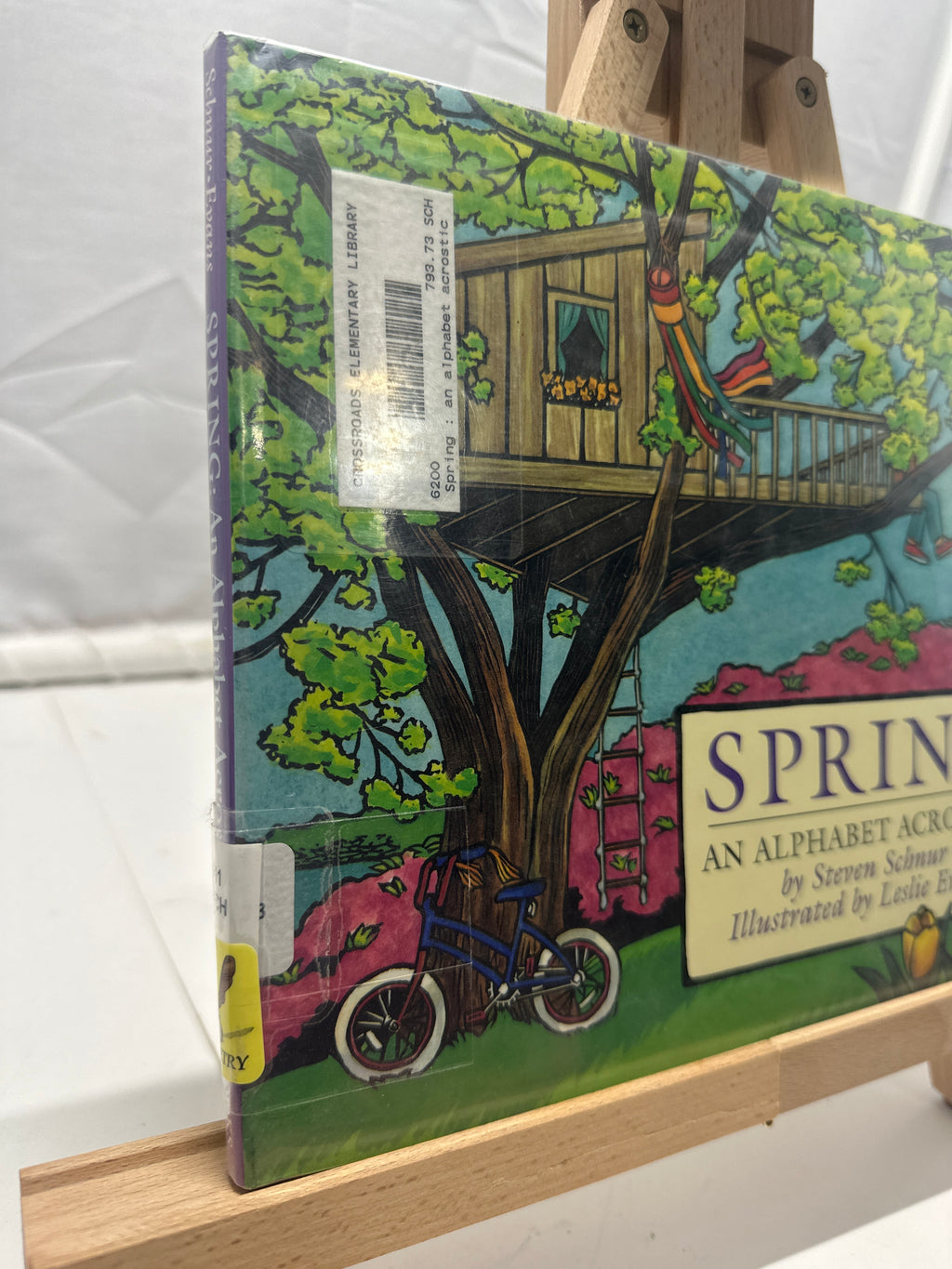 Spring by Steven Schnur Hardcover